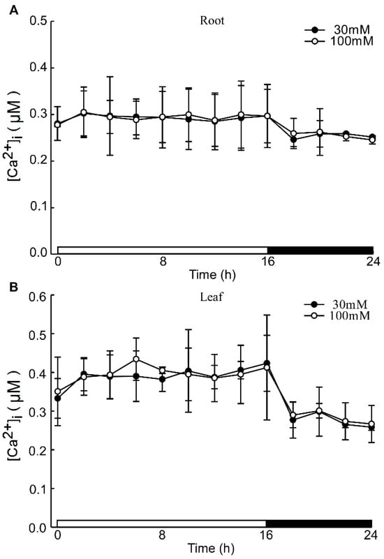 Plants 13 03107 g0a3