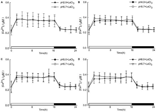 Plants 13 03107 g0a4