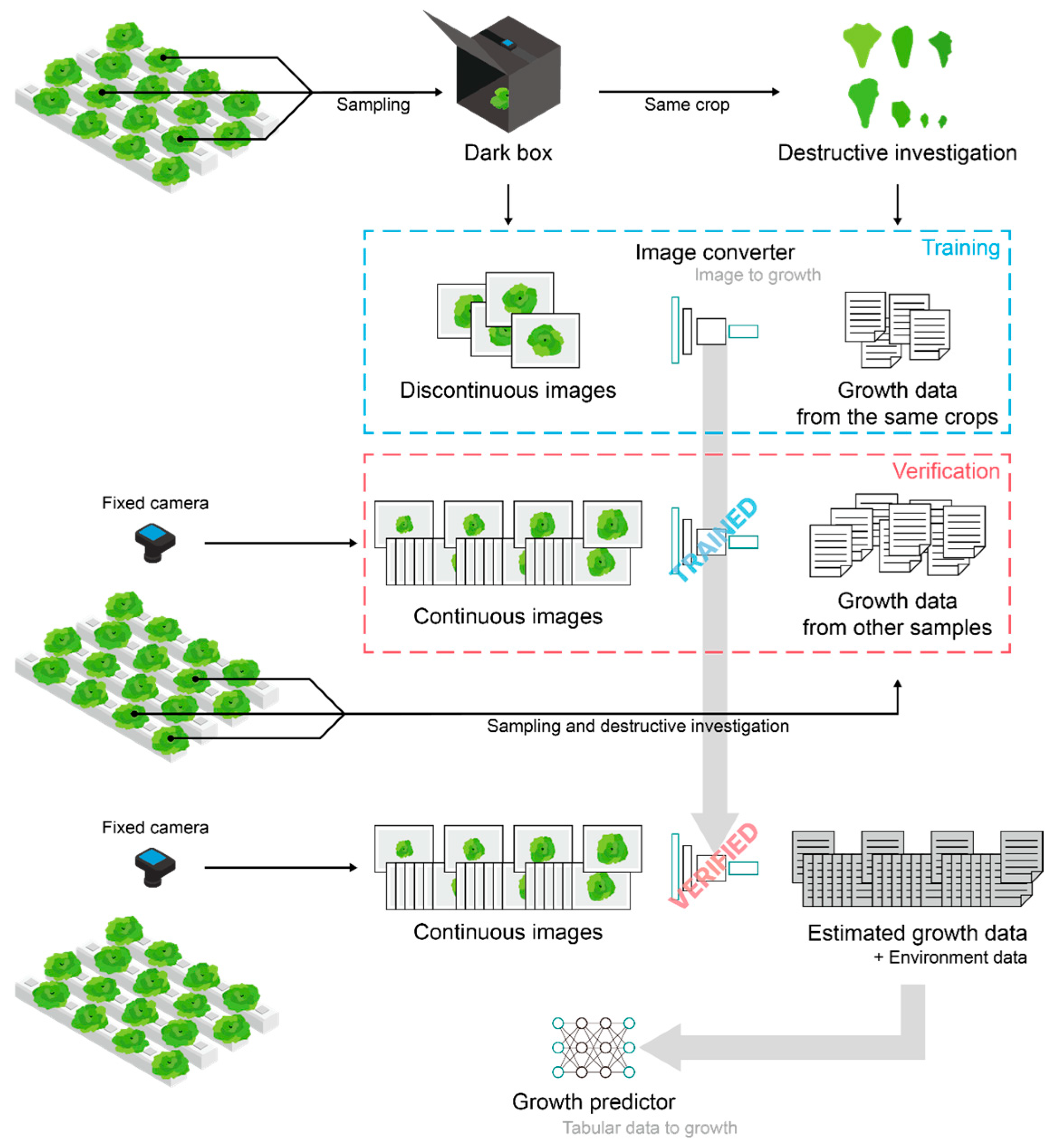 Plants 13 03110 g001