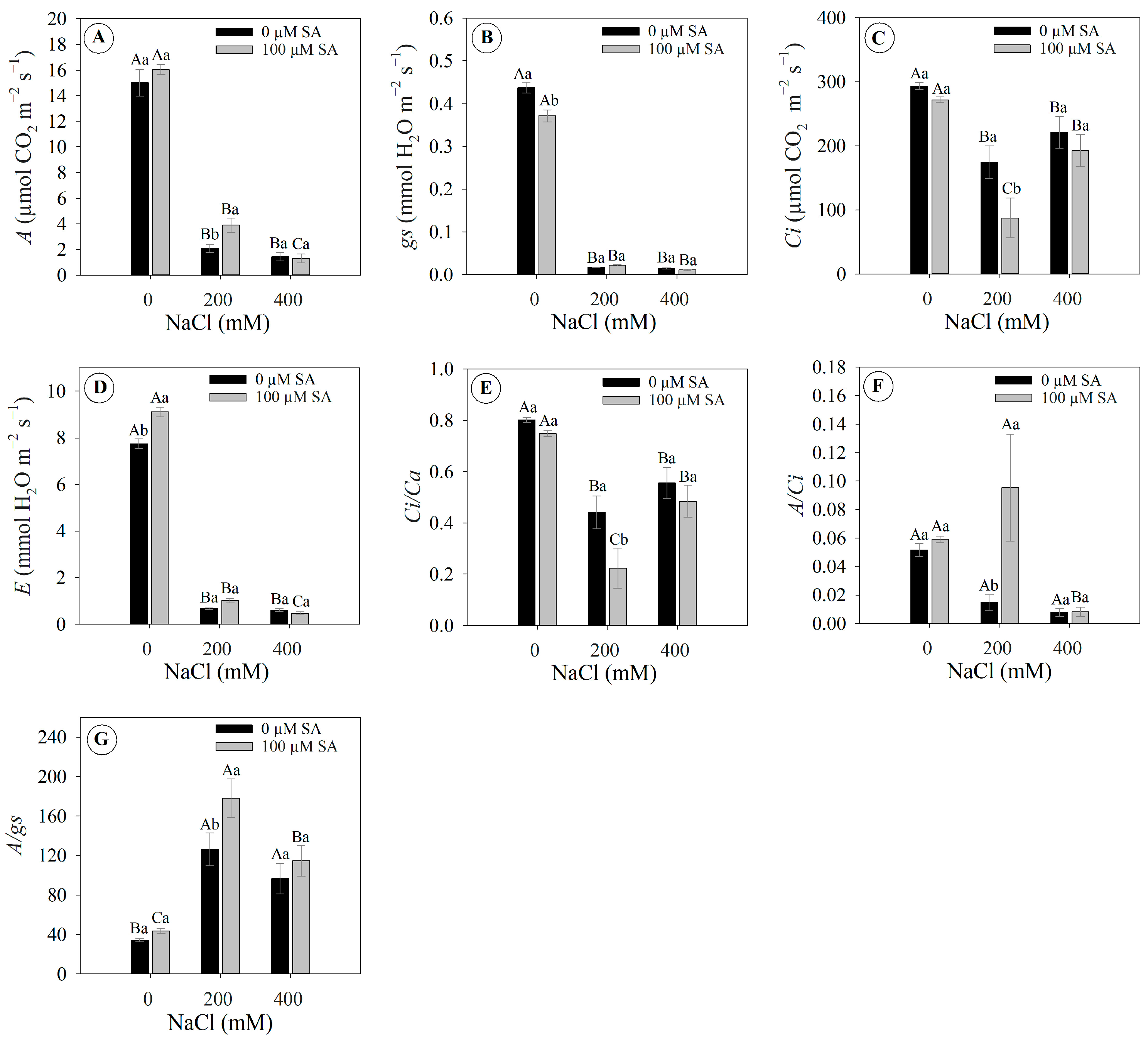 Plants 13 03111 g004
