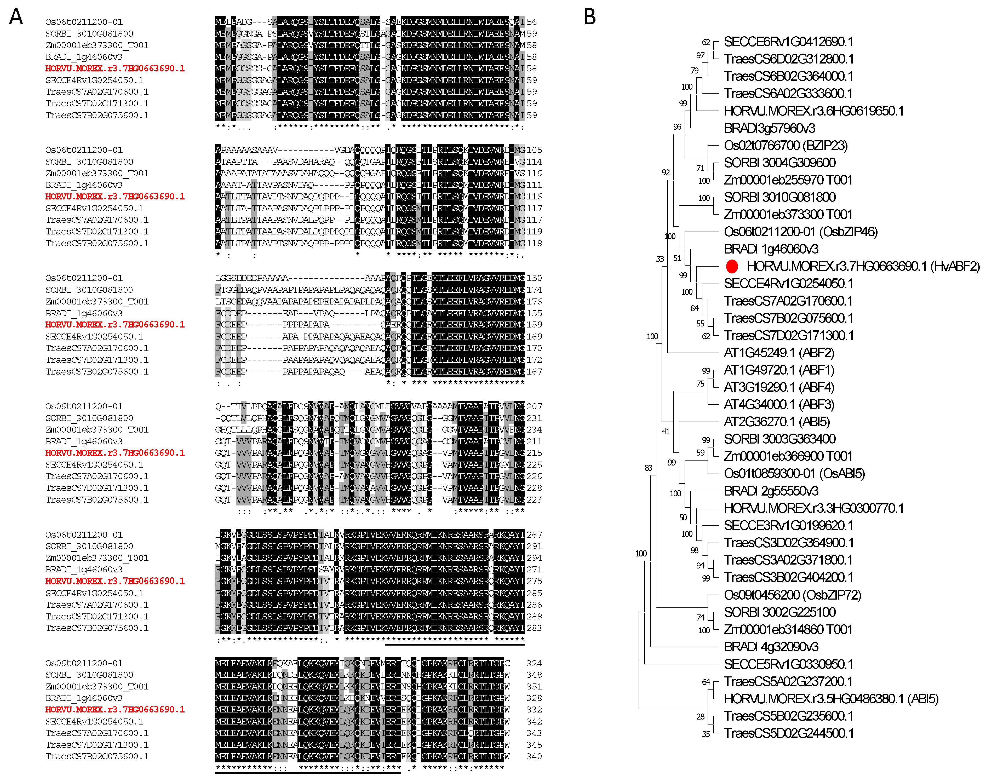 Plants 13 03113 g001