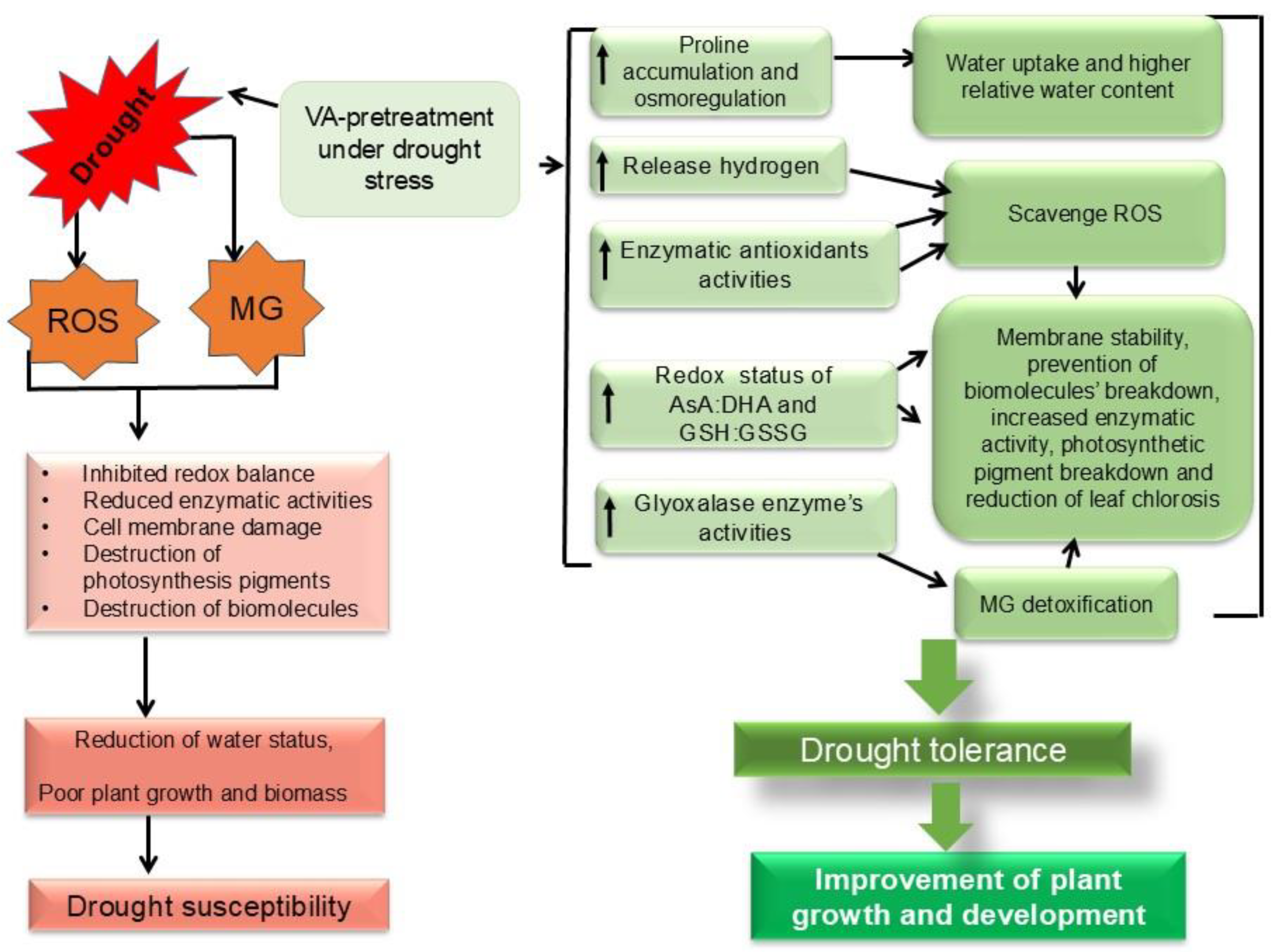 Plants 13 03114 g011