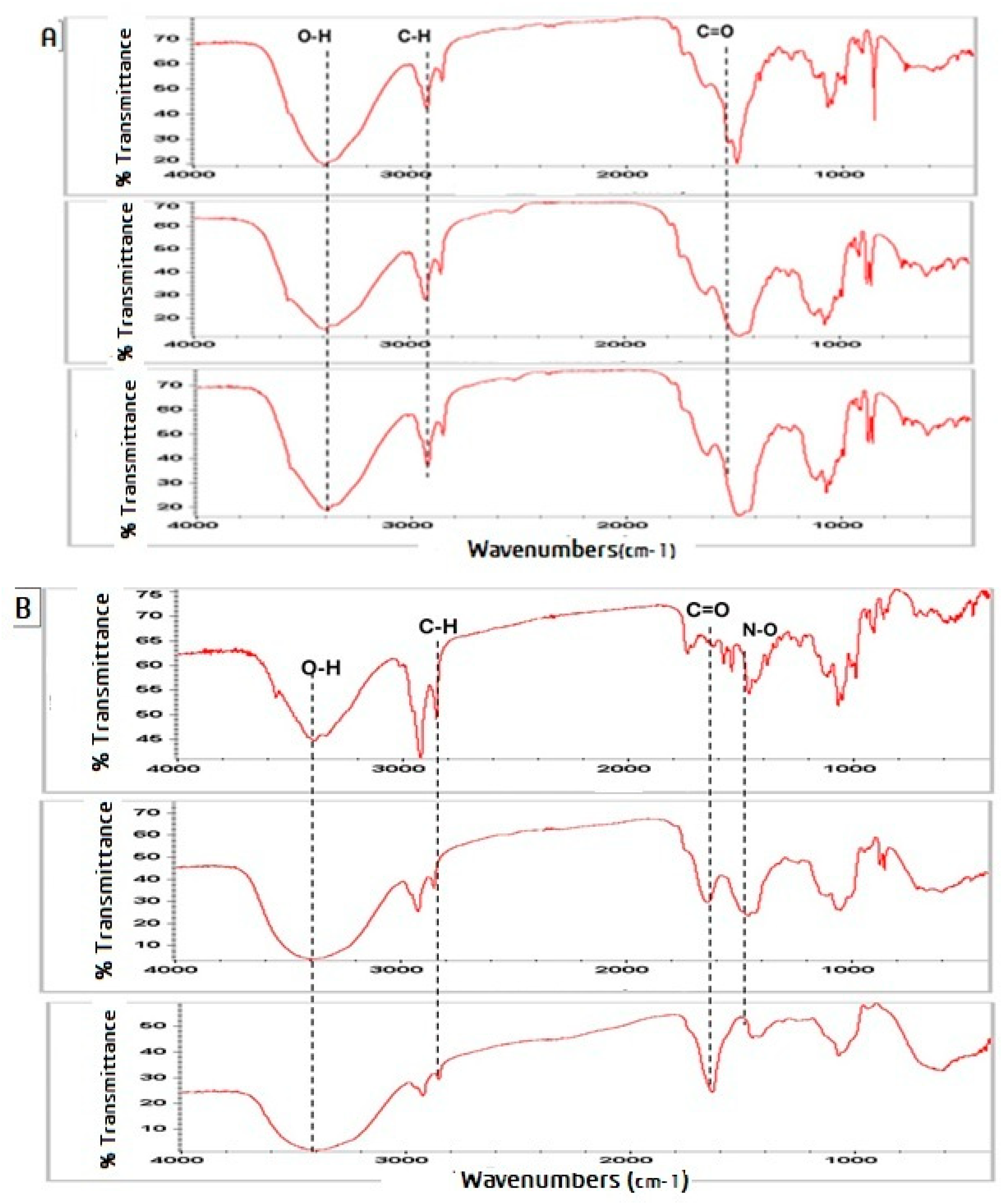 Plants 13 03115 g001