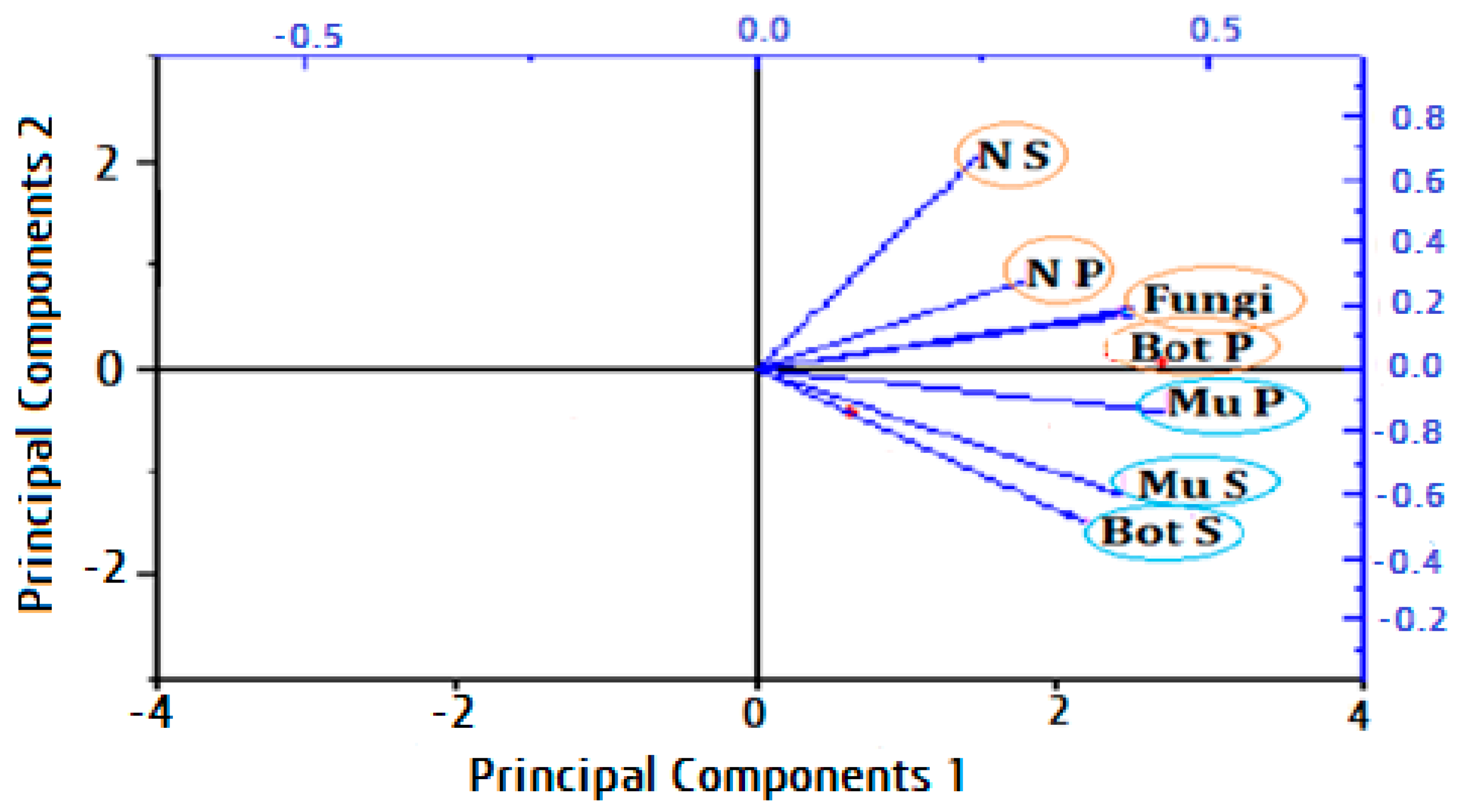 Plants 13 03115 g008