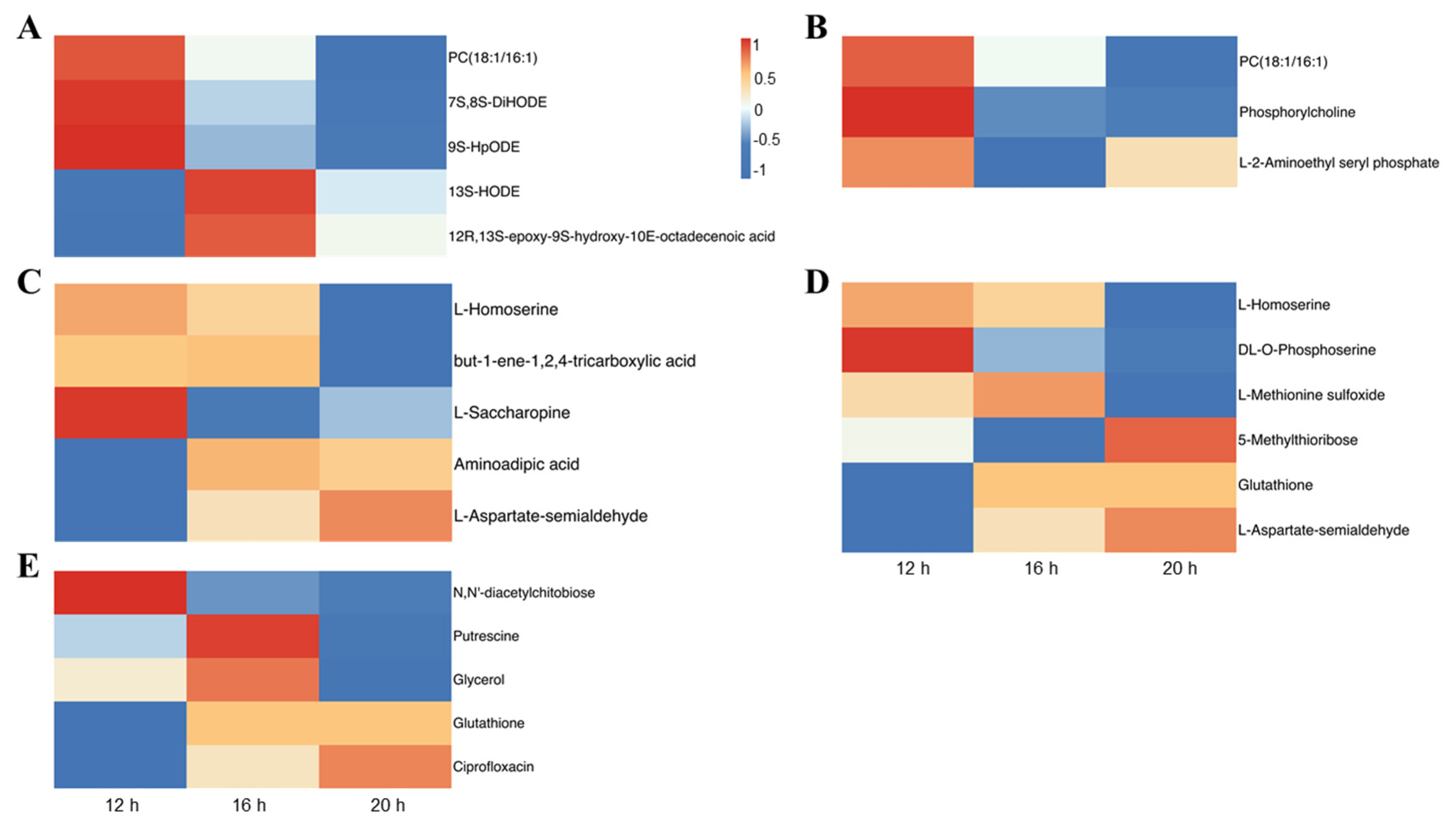 Plants 13 03119 g010