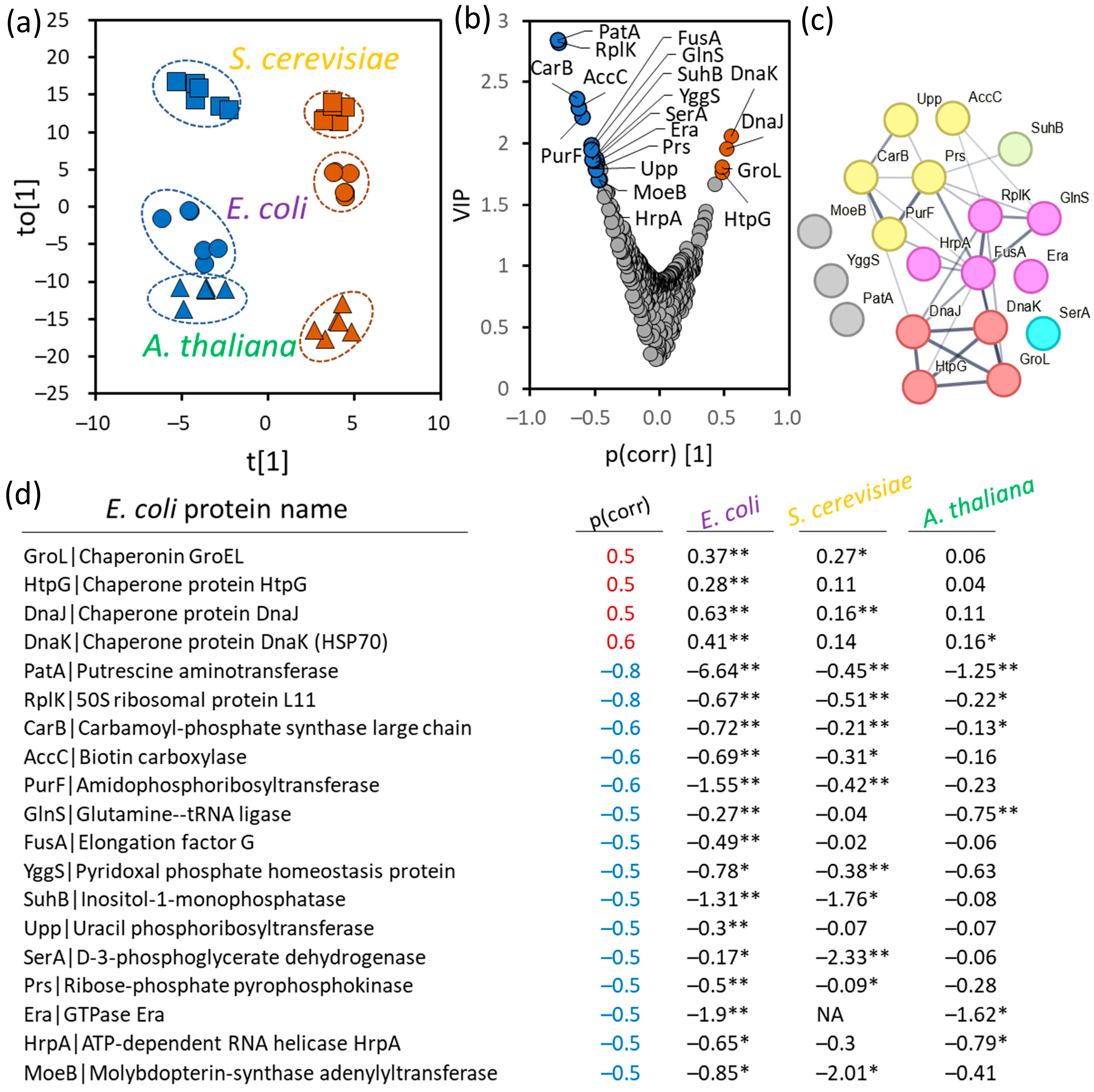Plants 13 03121 g002