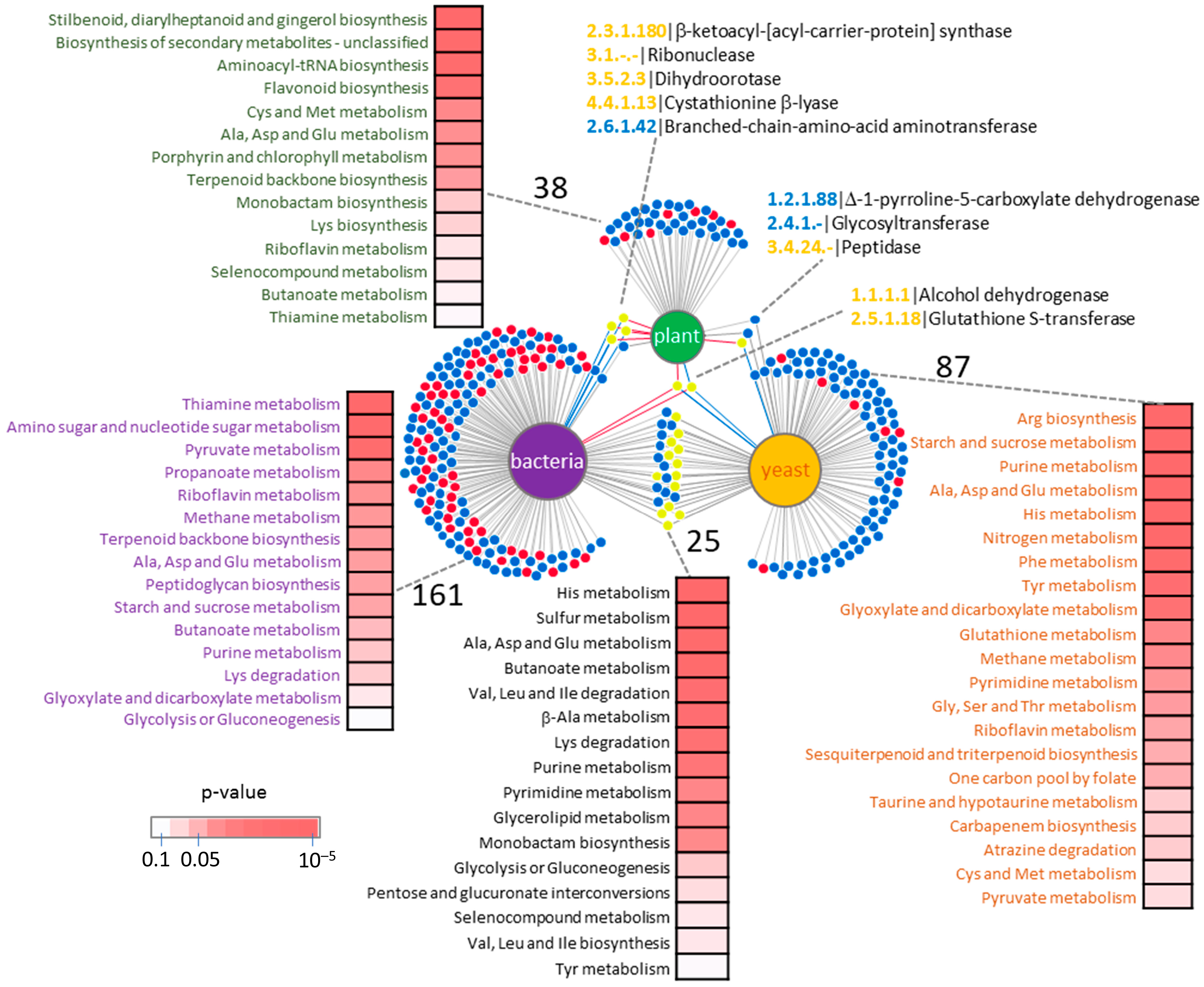 Plants 13 03121 g003