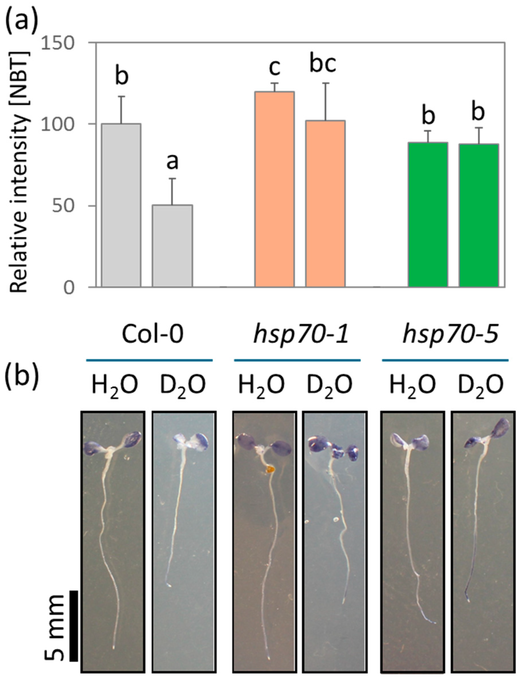 Plants 13 03121 g006