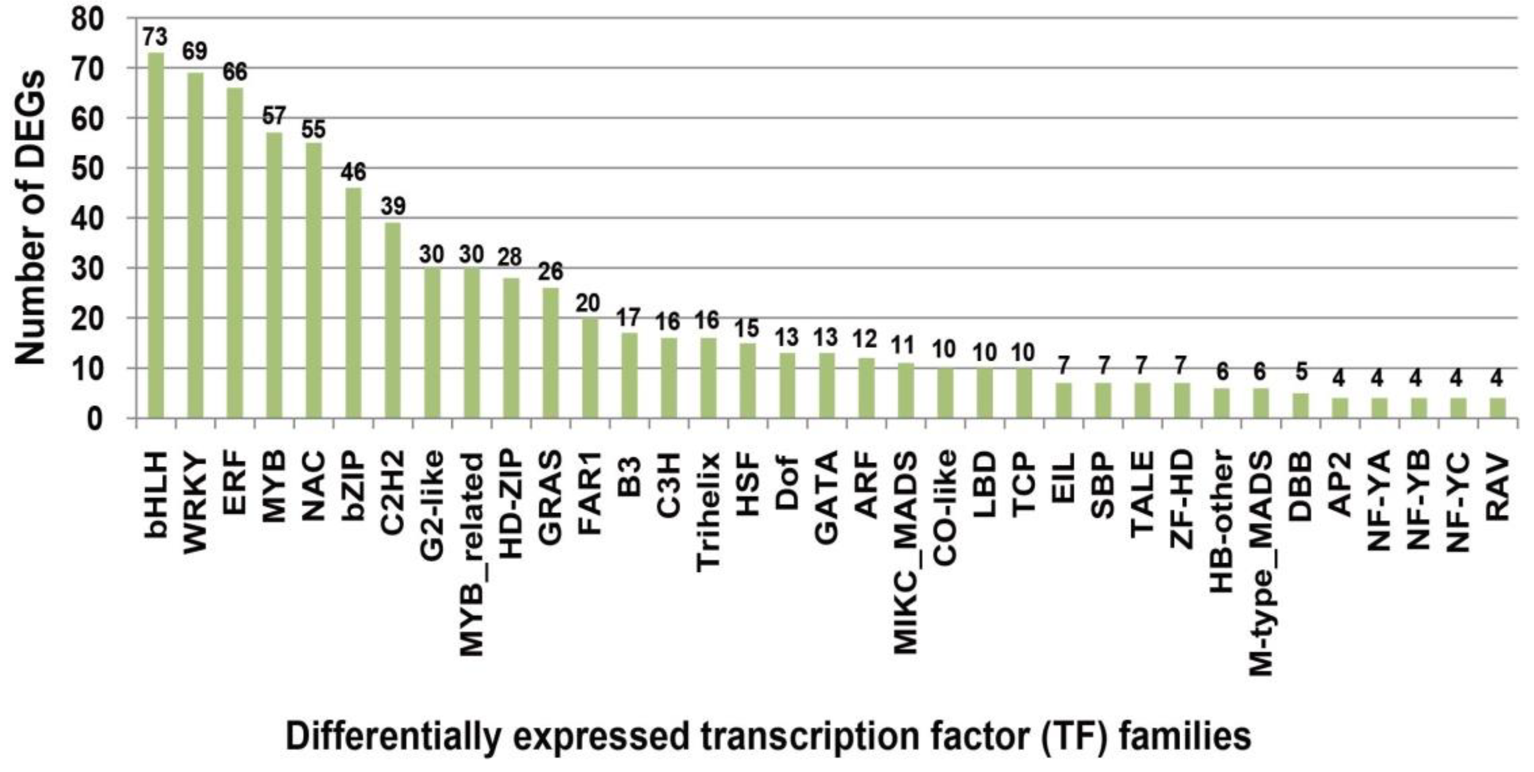Plants 13 03129 g003