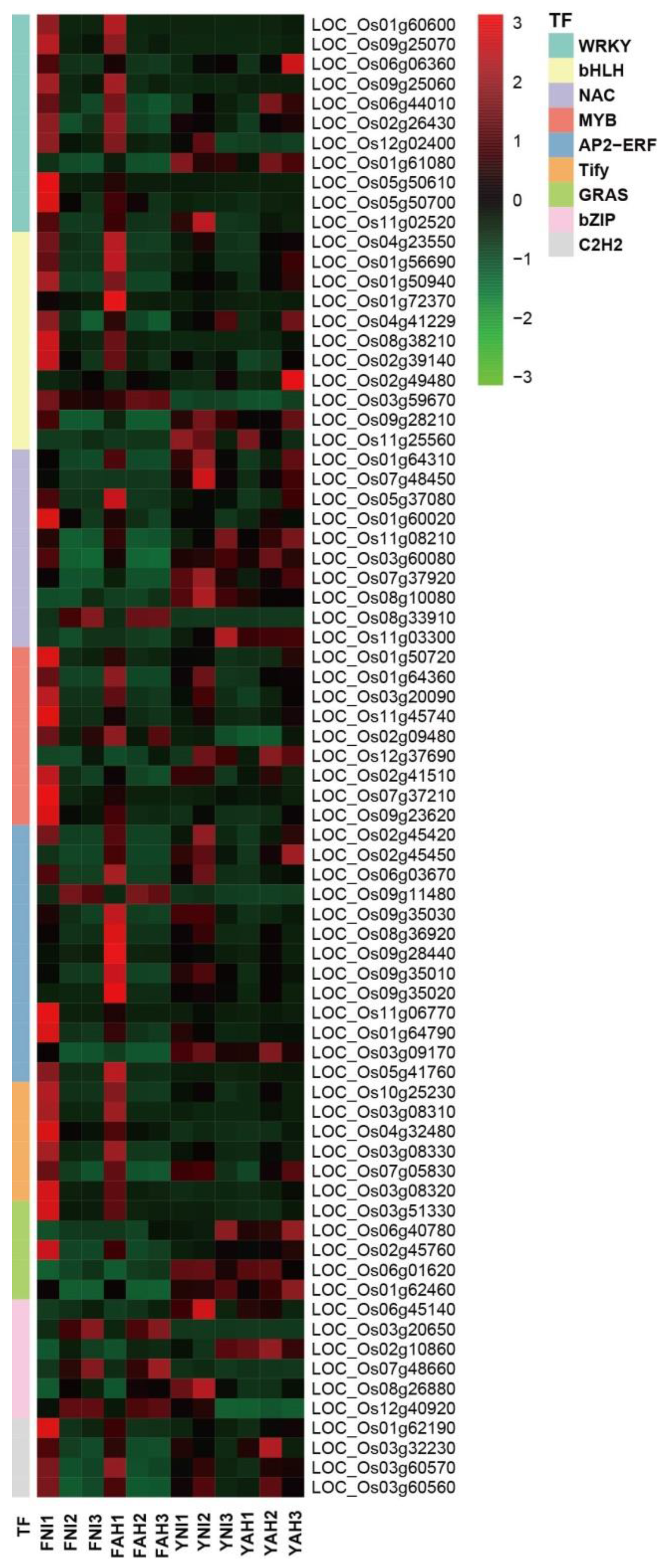 Plants 13 03129 g004