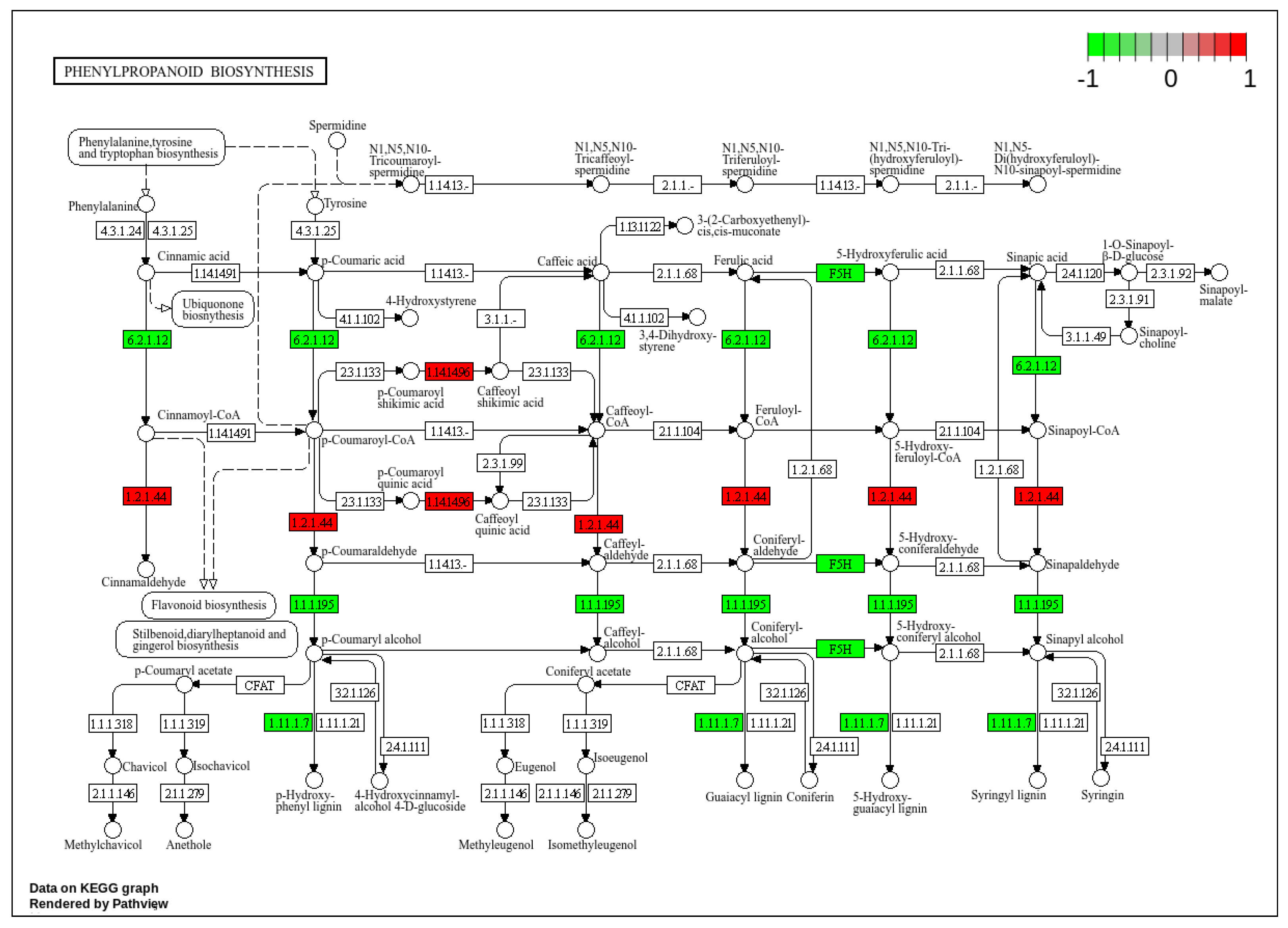 Plants 13 03129 g007