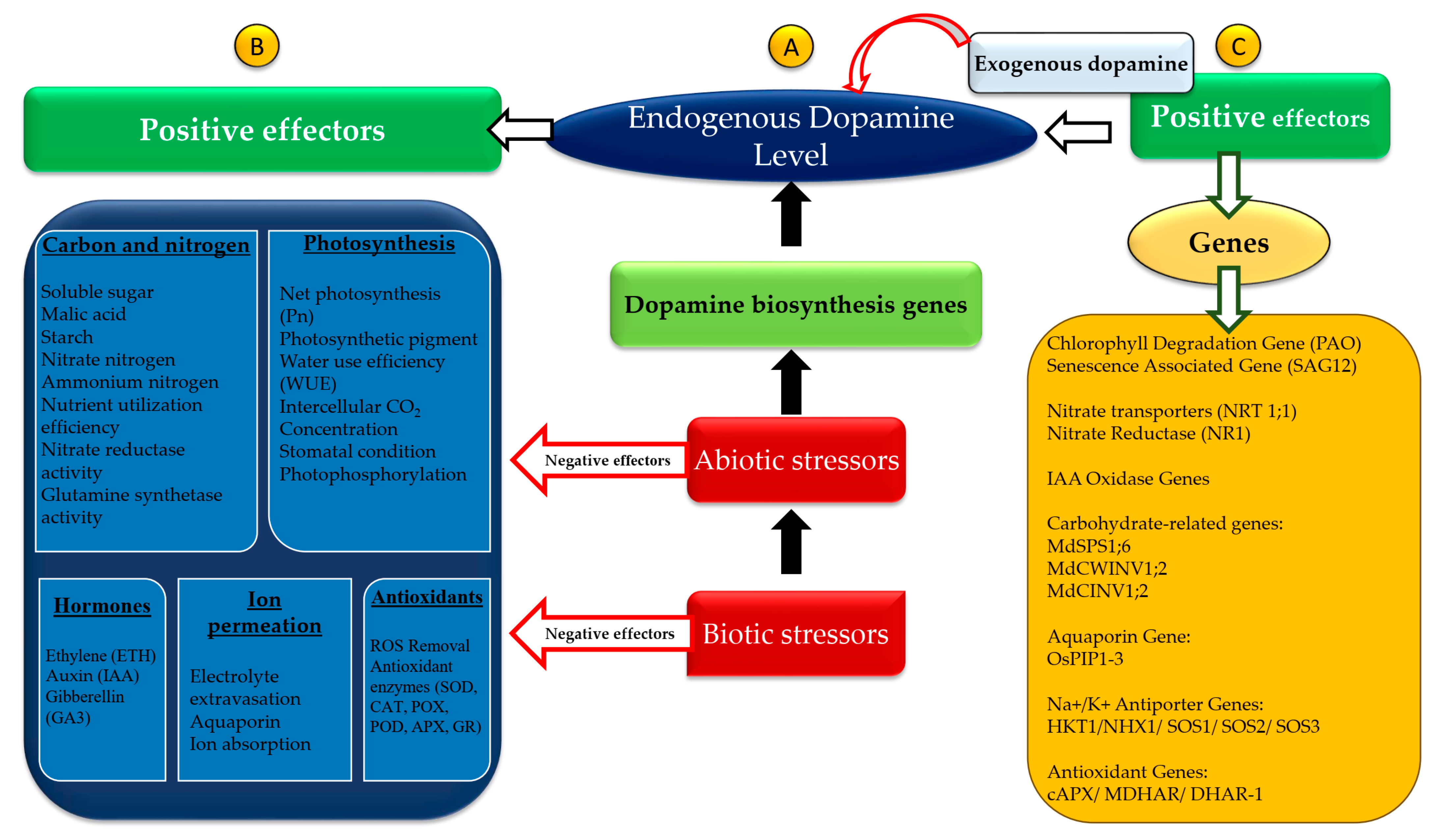 Plants 13 03134 g003
