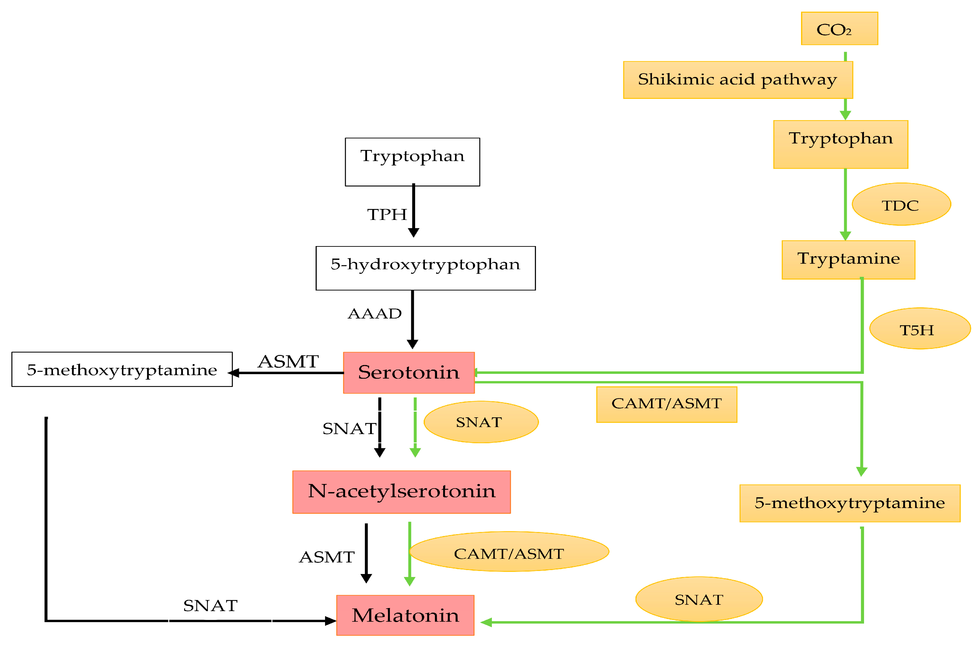 Plants 13 03134 g005
