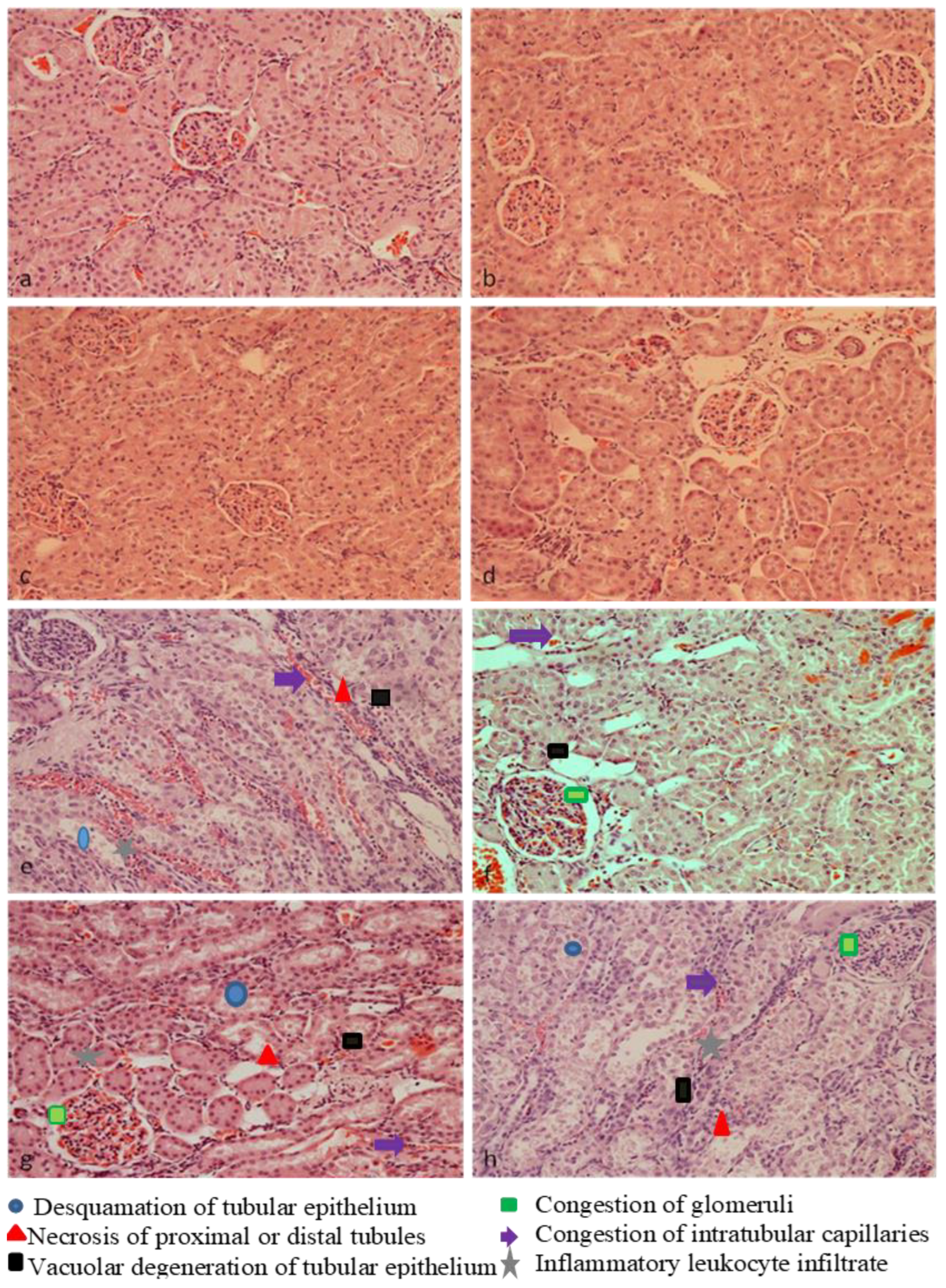 Plants 13 03136 g006 Plants 13 03136 g006