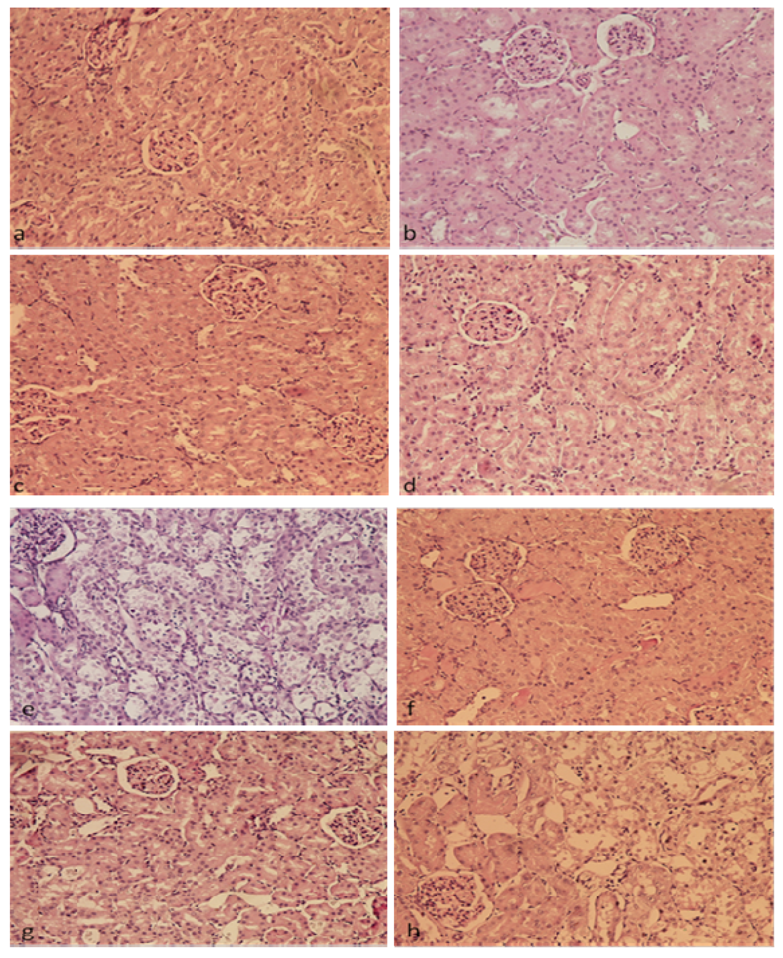 Plants 13 03136 g007 Plants 13 03136 g007