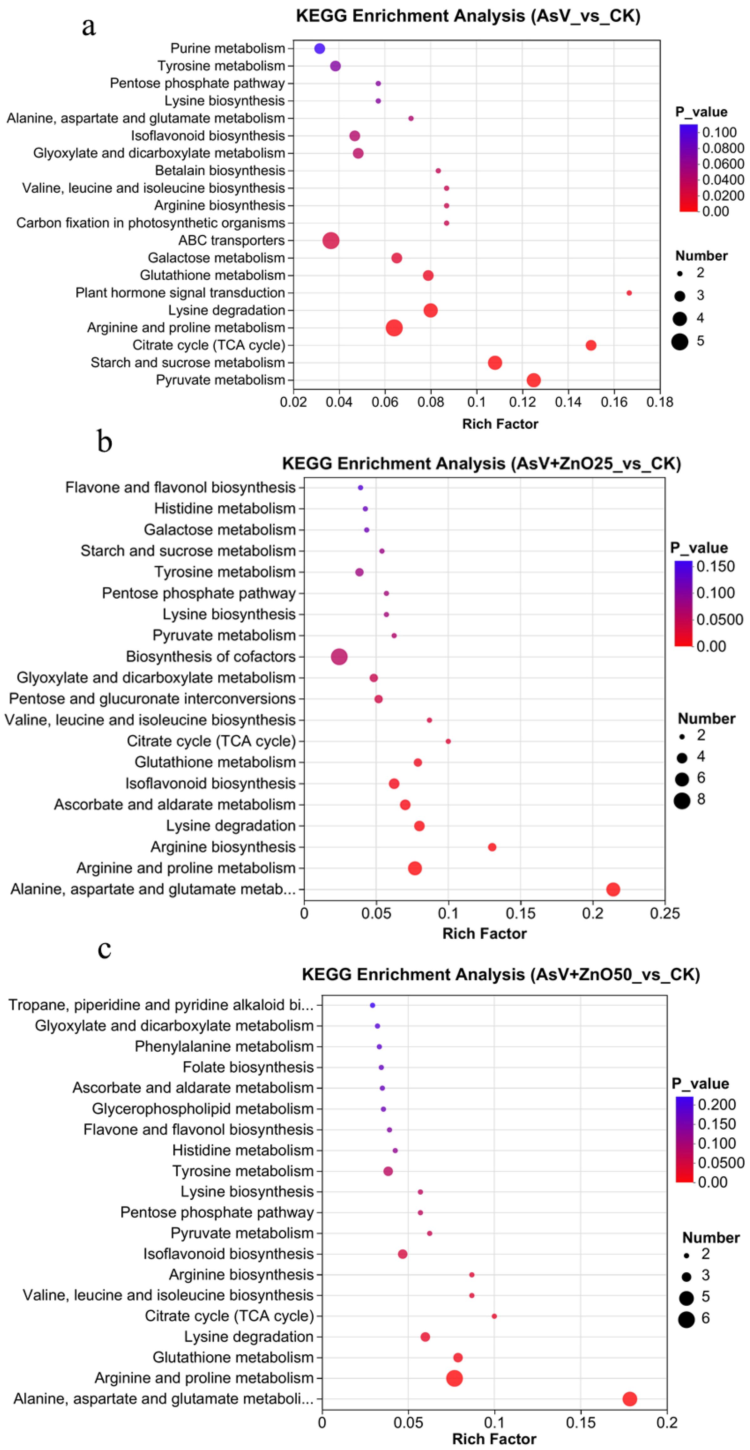 Plants 13 03142 g005