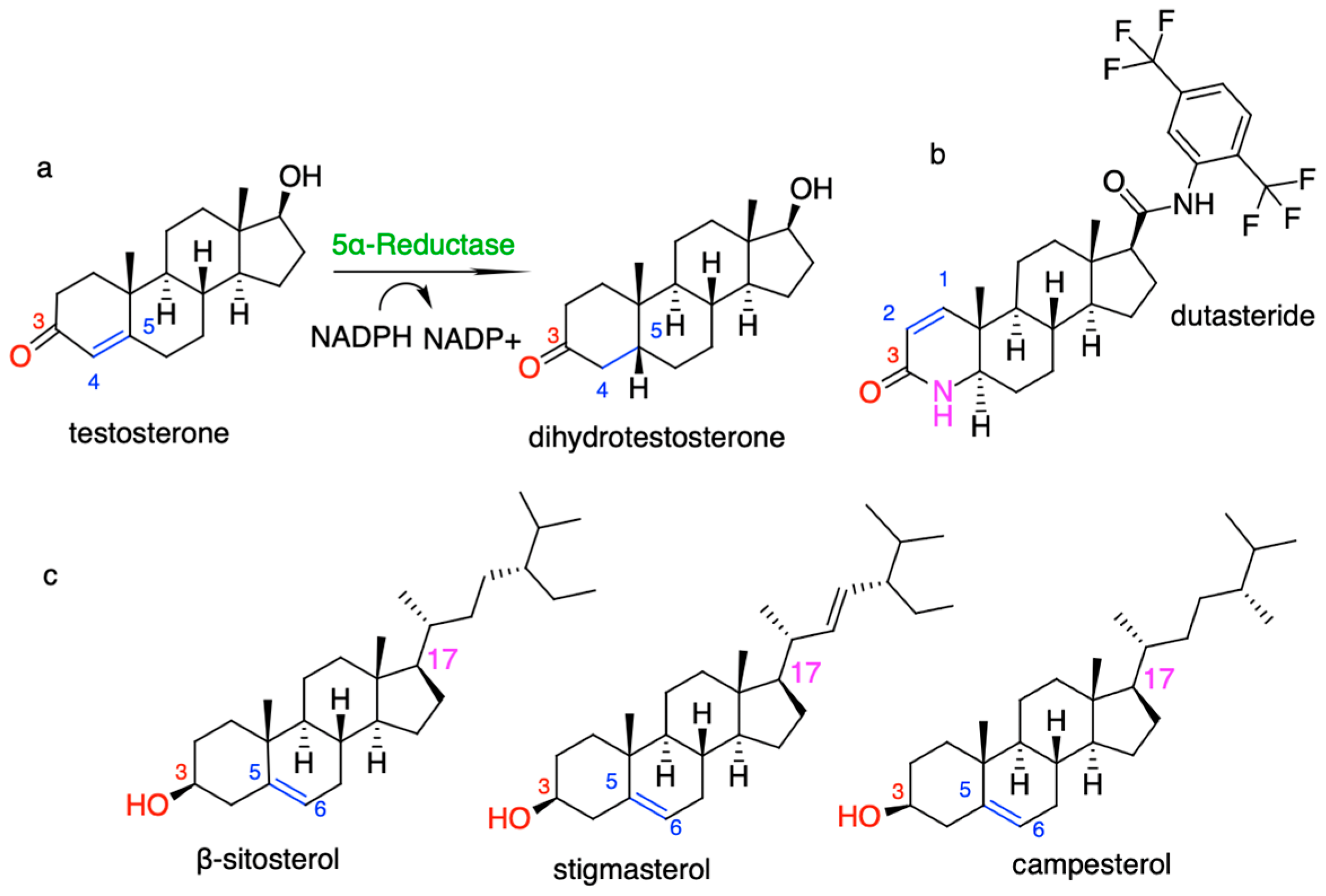 Plants 13 03146 g001