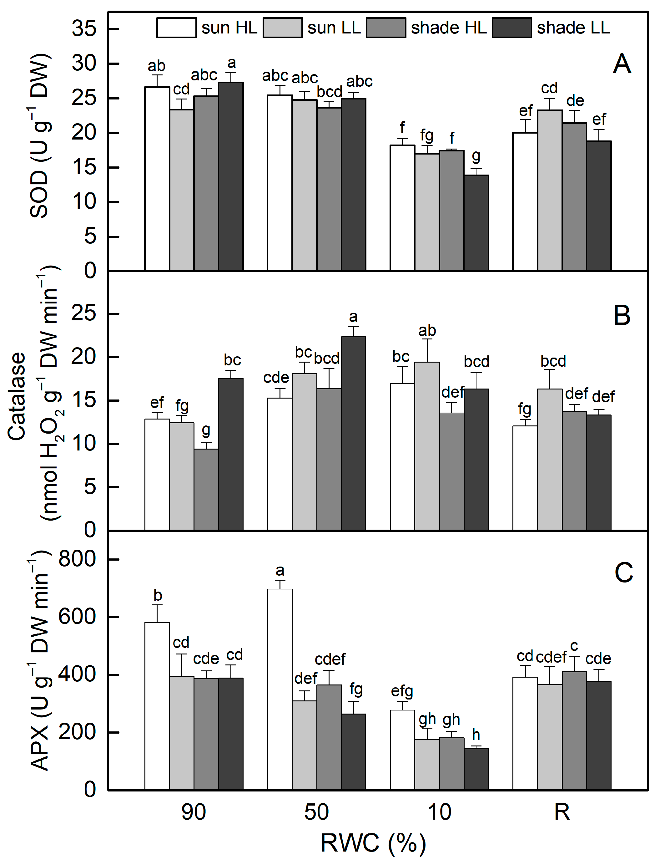 Plants 13 03147 g007