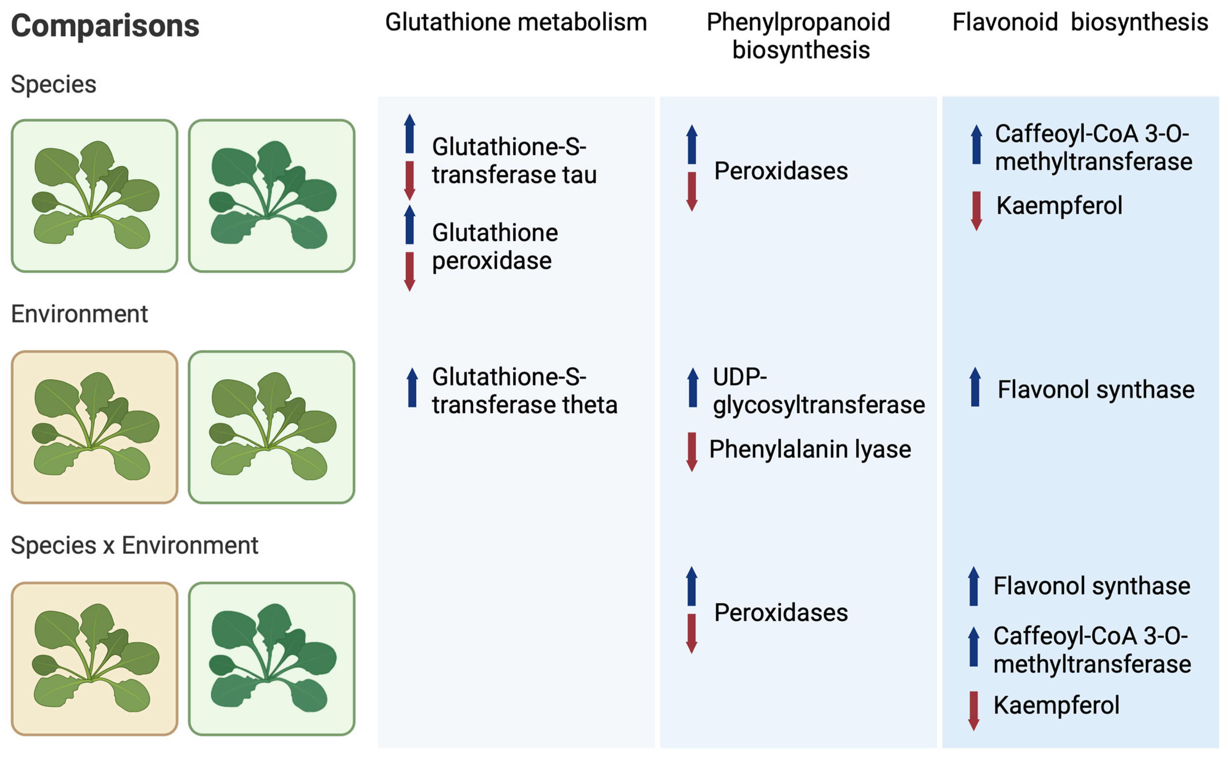 Plants 13 03149 g006