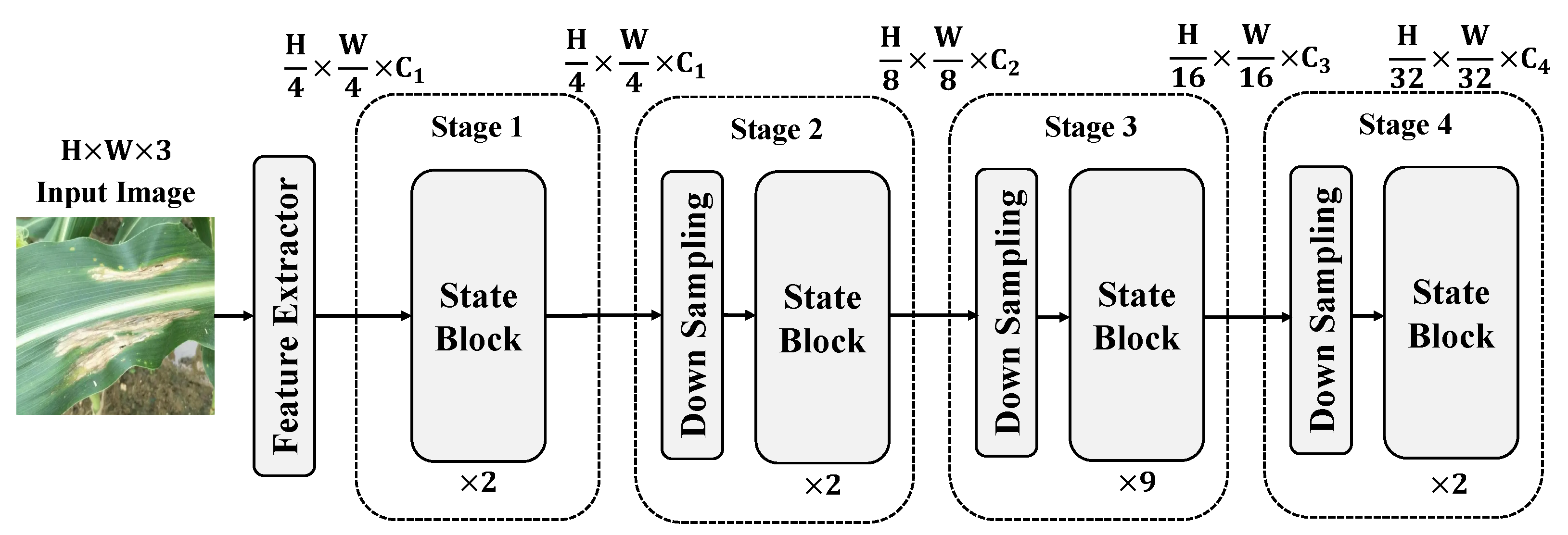 Plants 13 03151 g003
