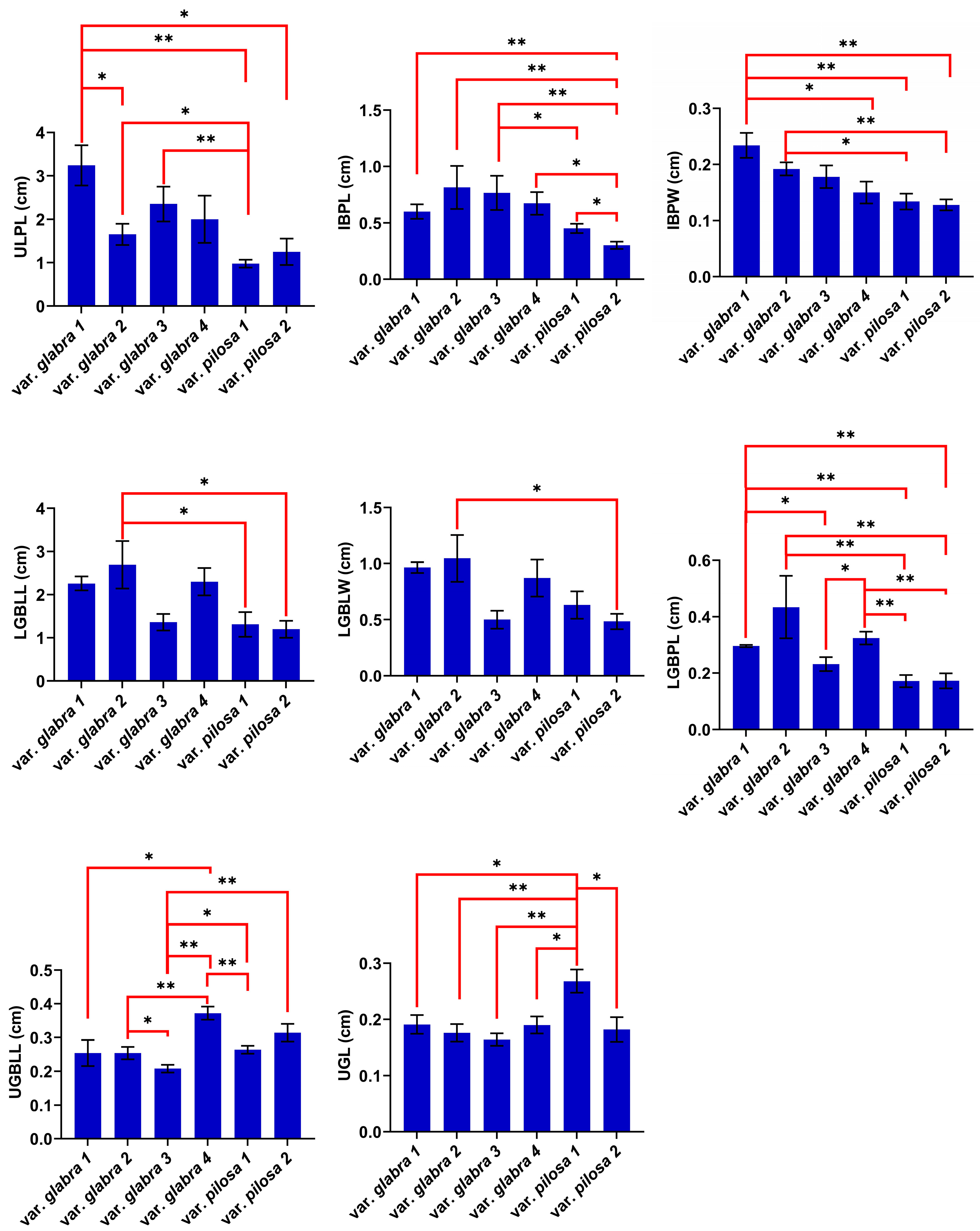 Plants 13 03152 g001b