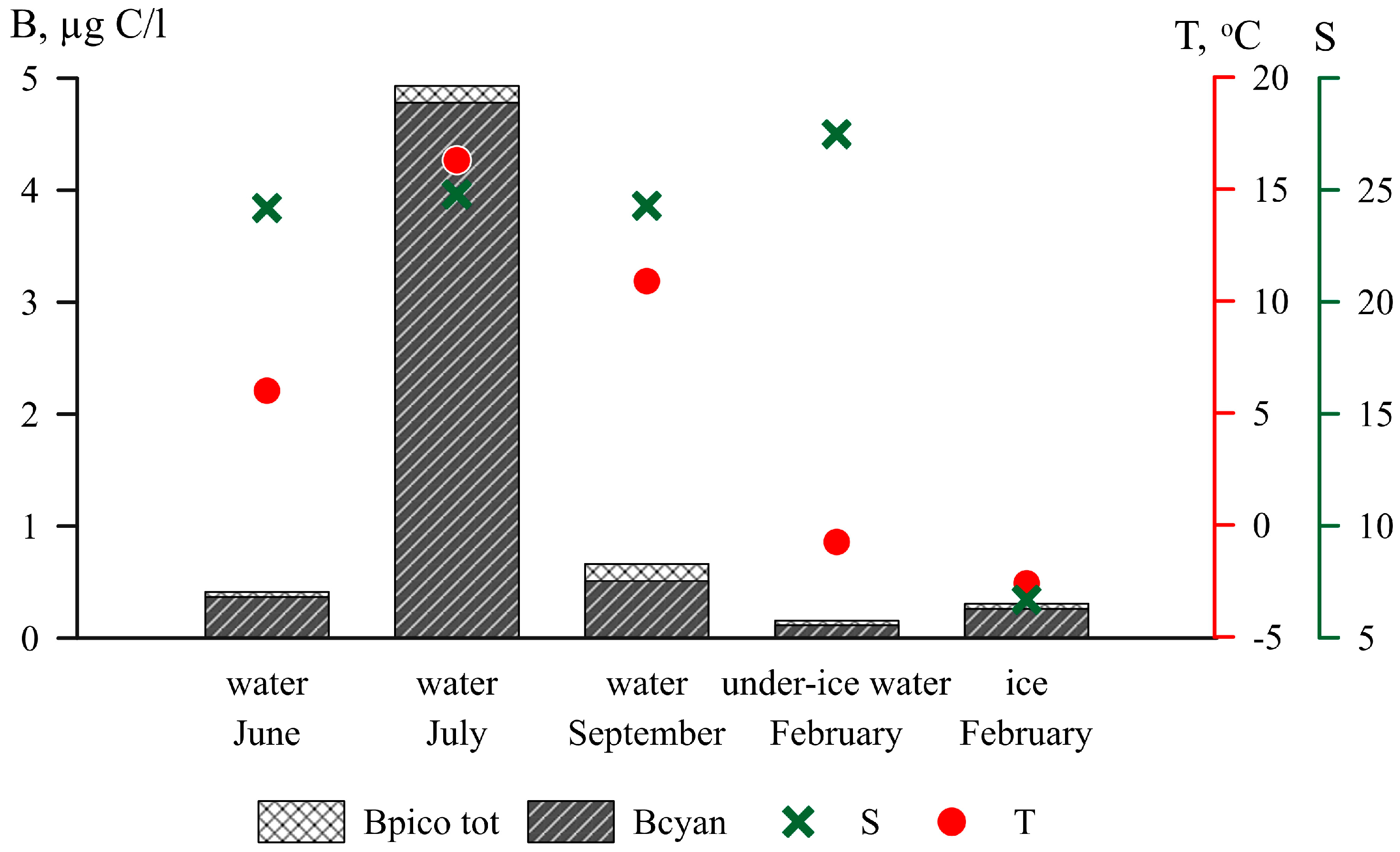 Plants 13 03153 g002