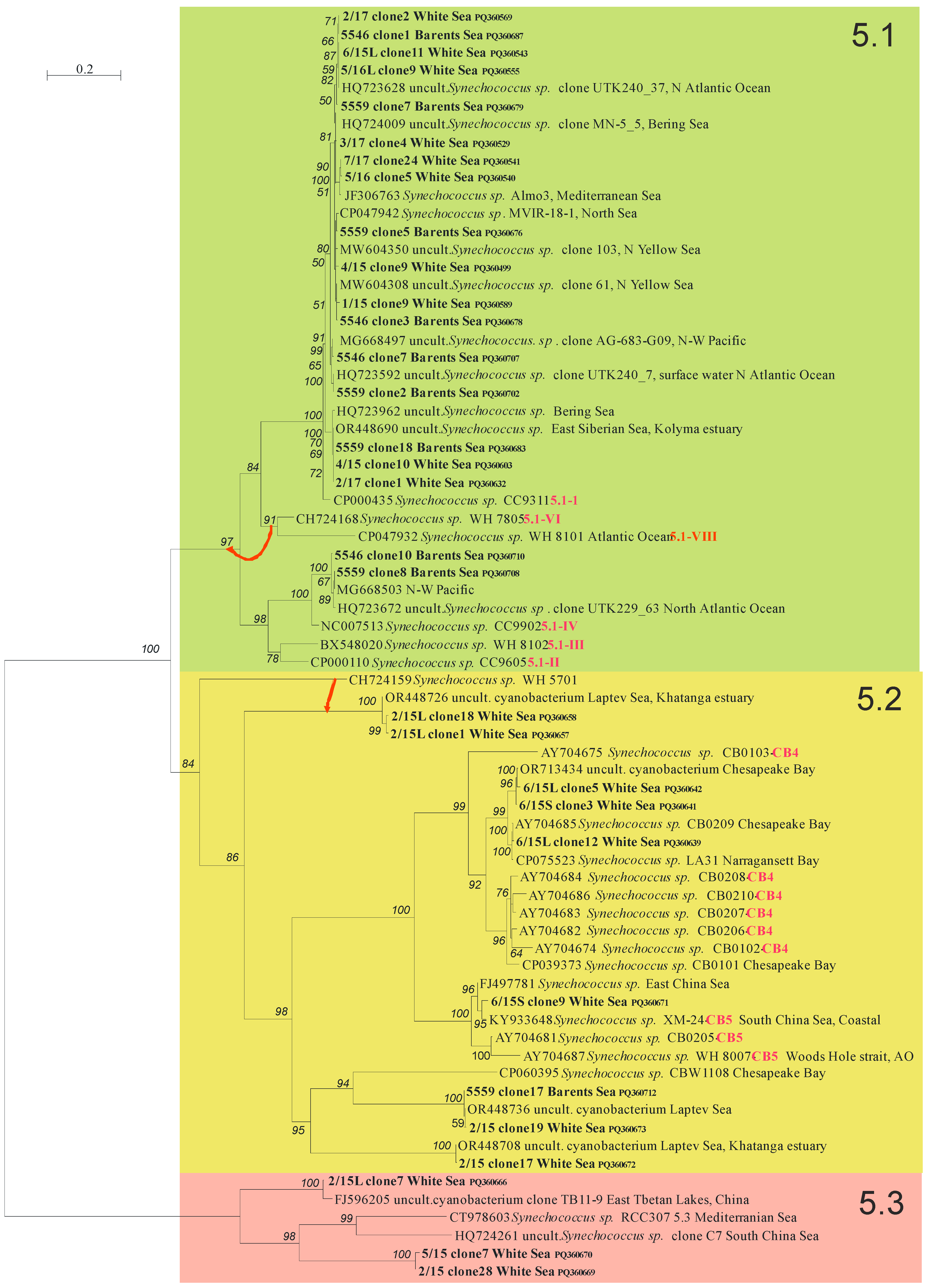 Plants 13 03153 g003