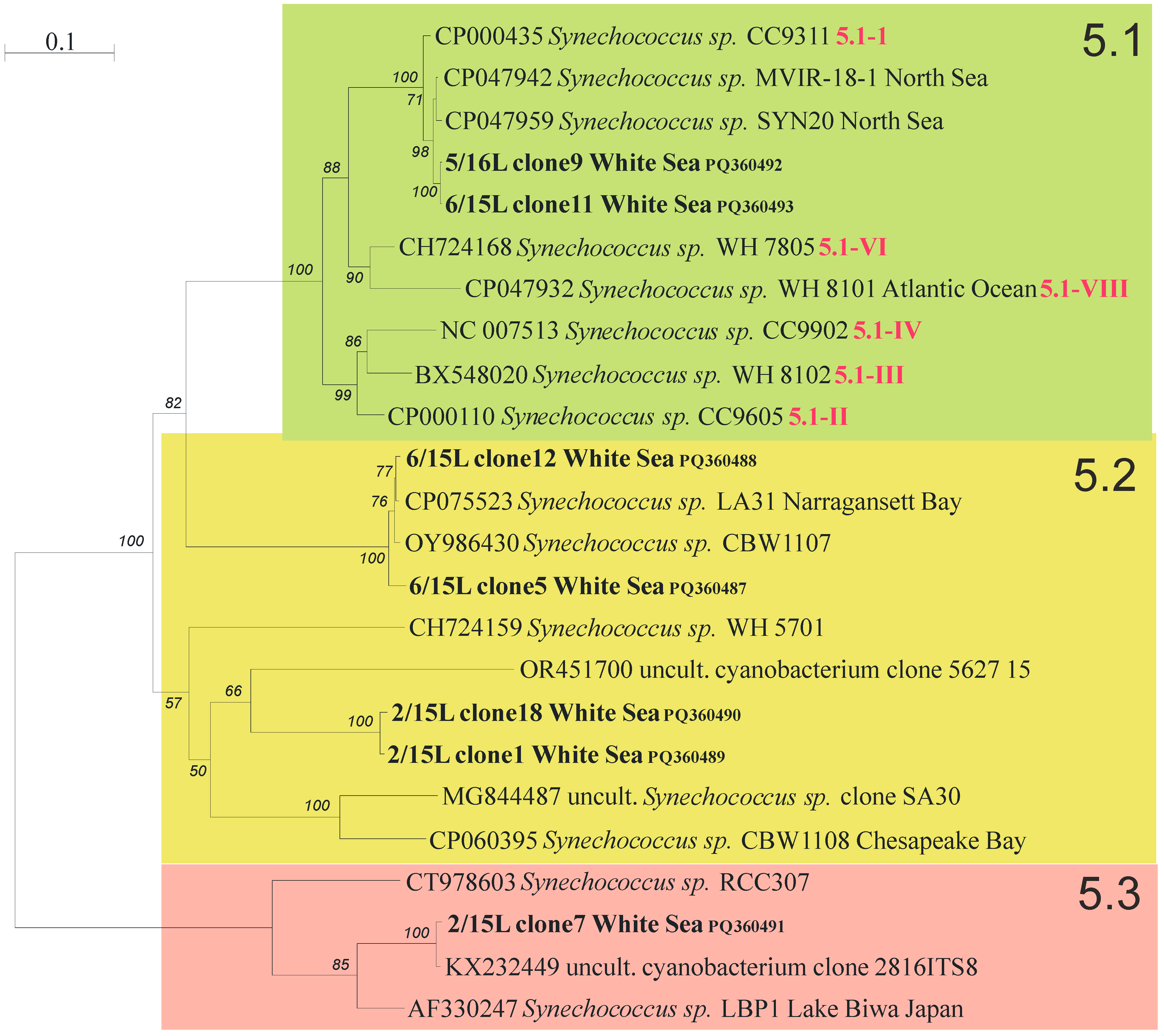 Plants 13 03153 g004