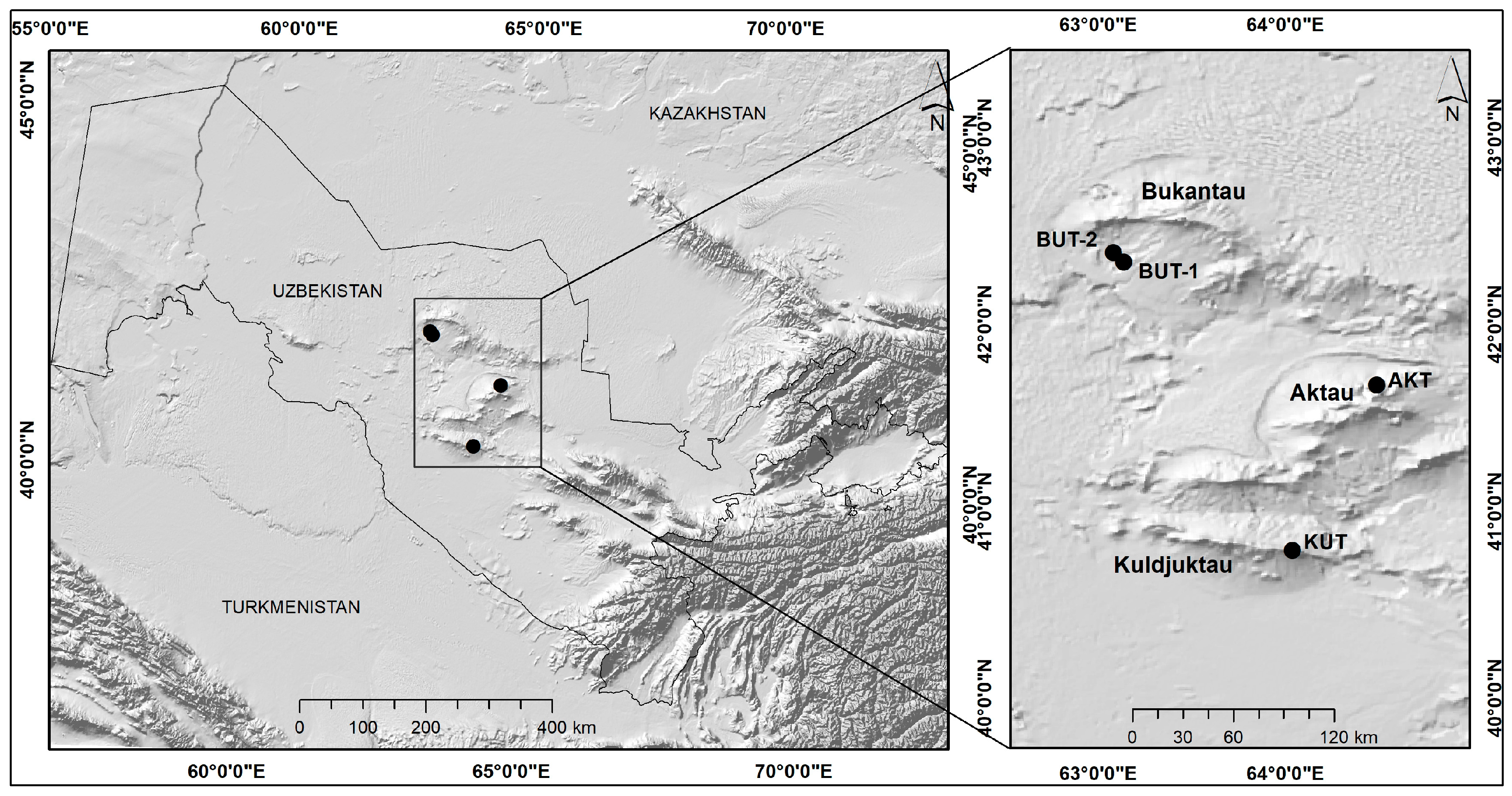 Plants 13 03154 g002
