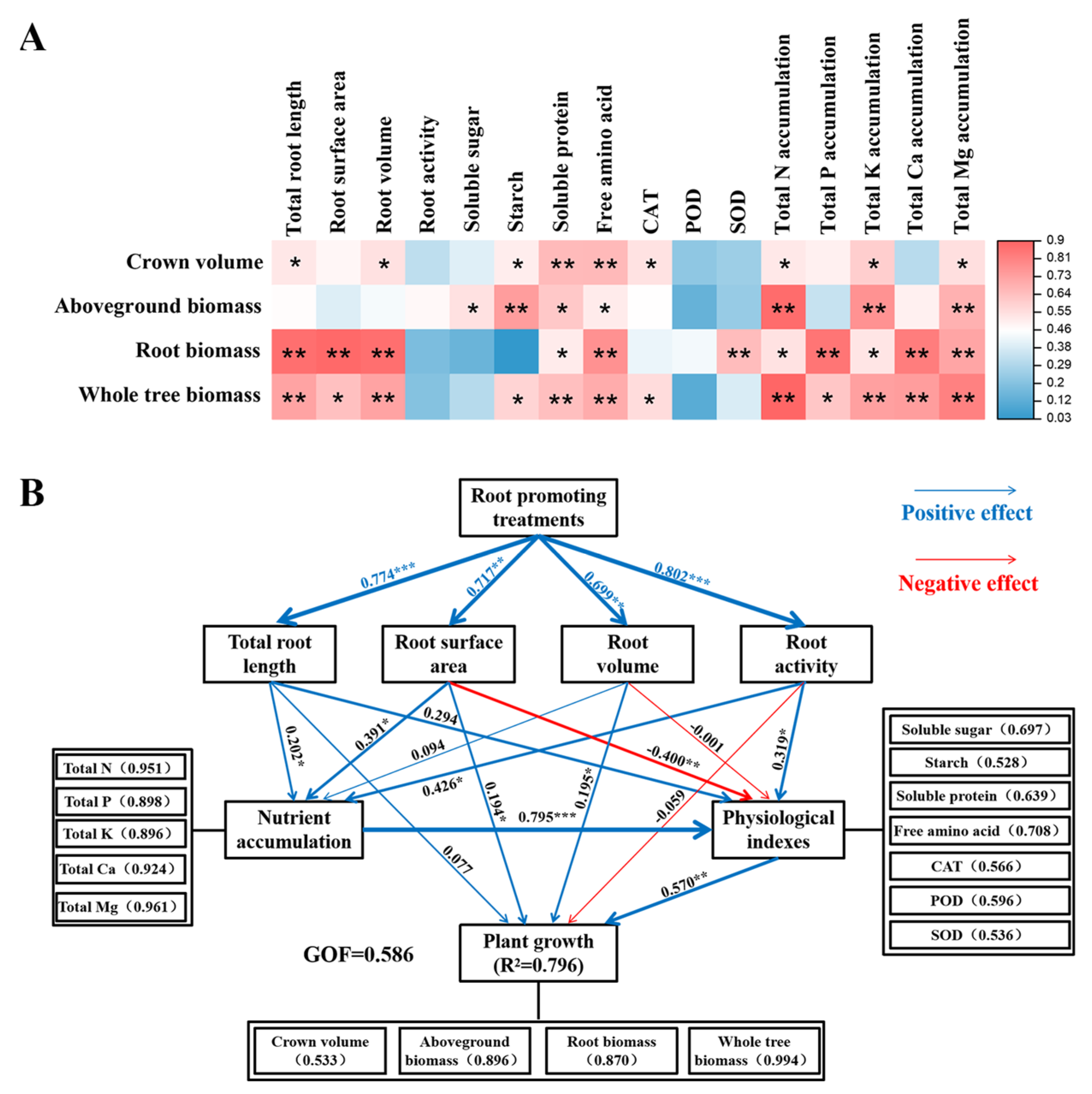 Plants 13 03159 g008