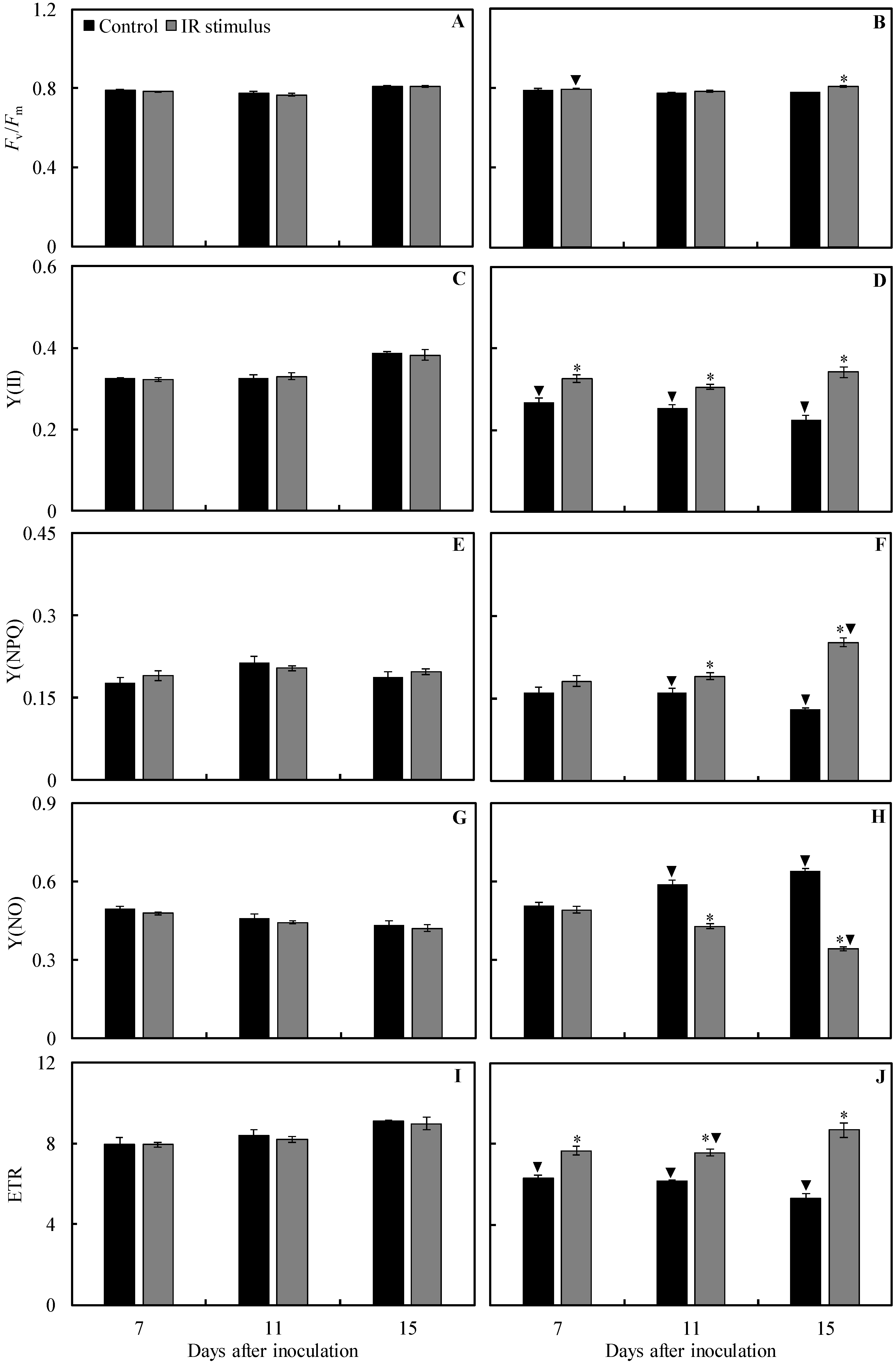 Plants 13 03161 g007