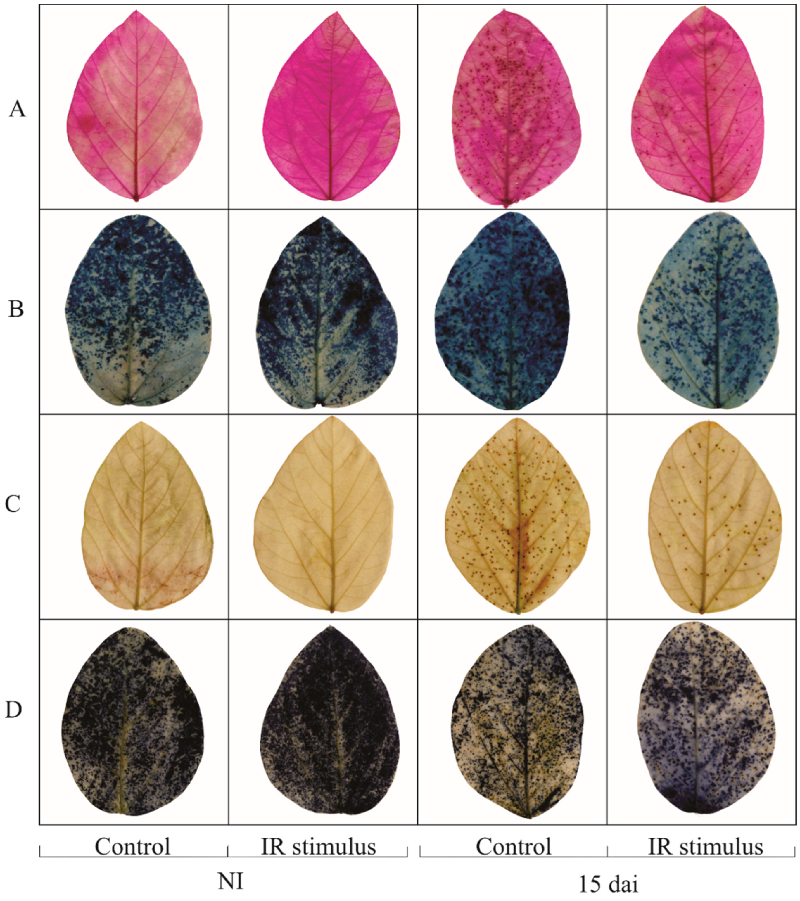 Plants 13 03161 g009