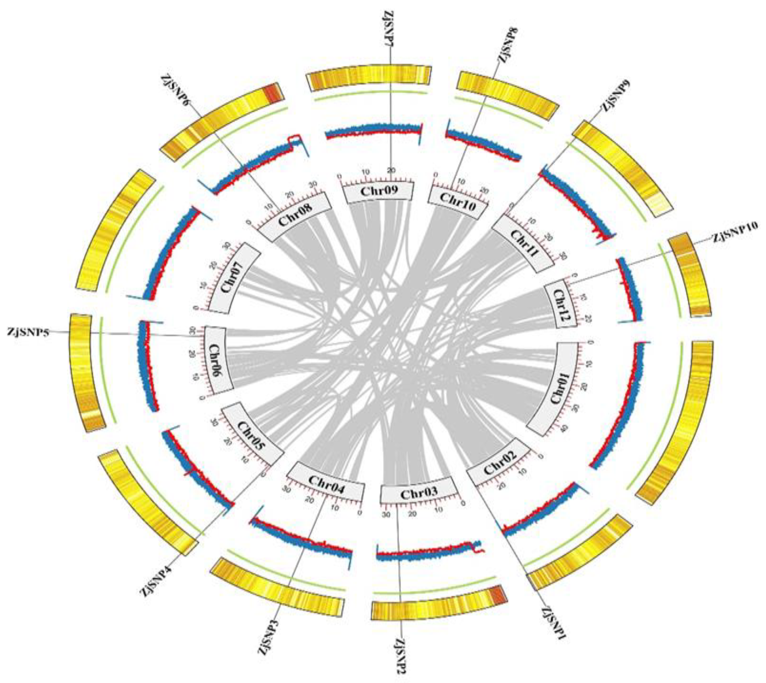 Plants 13 03163 g001