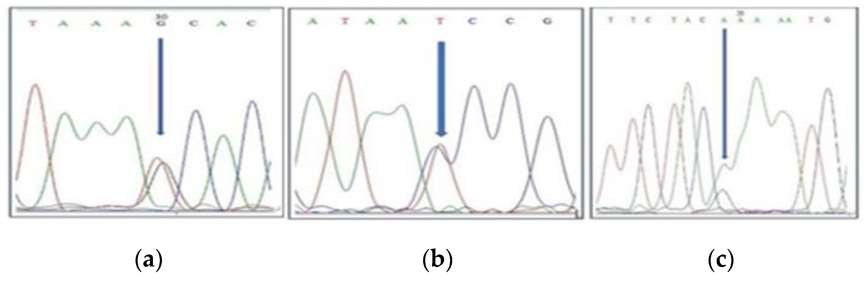 Plants 13 03163 g002