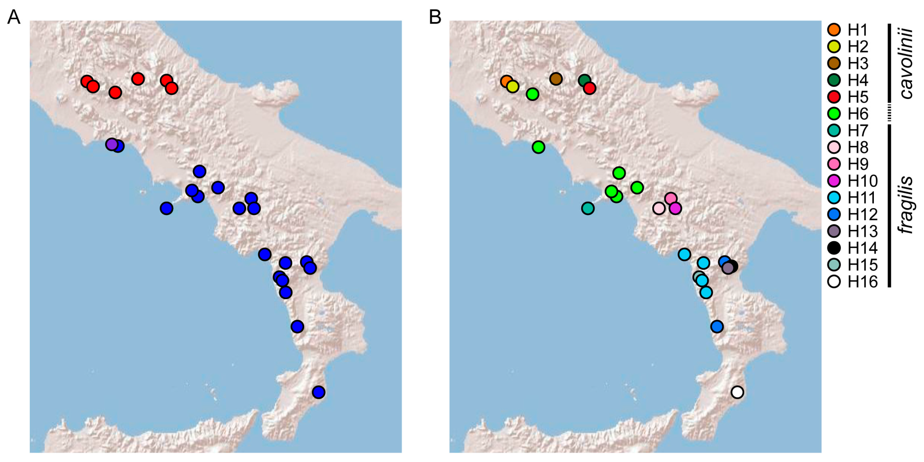 Plants 13 03169 g003 Plants 13 03169 g003