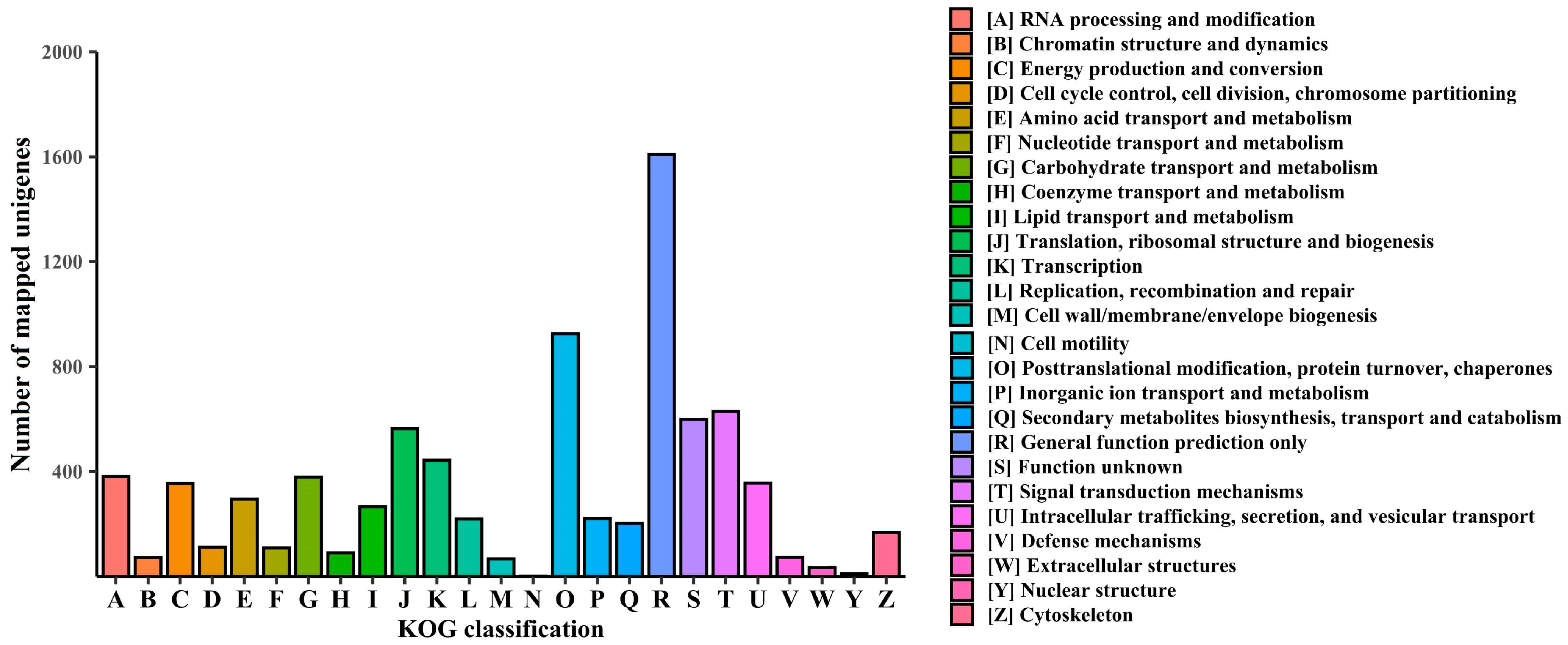 Plants 13 03170 g002