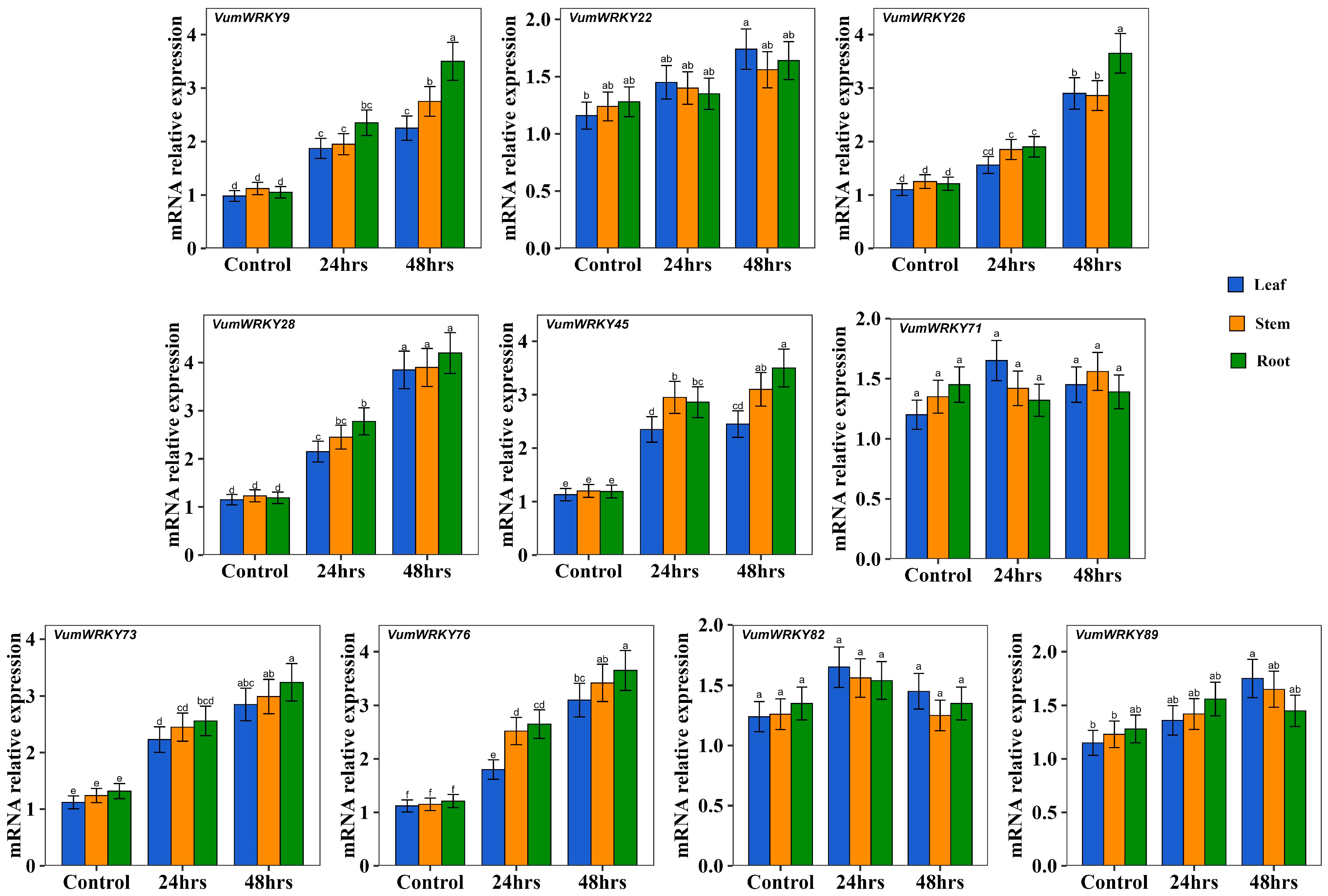 Plants 13 03170 g006
