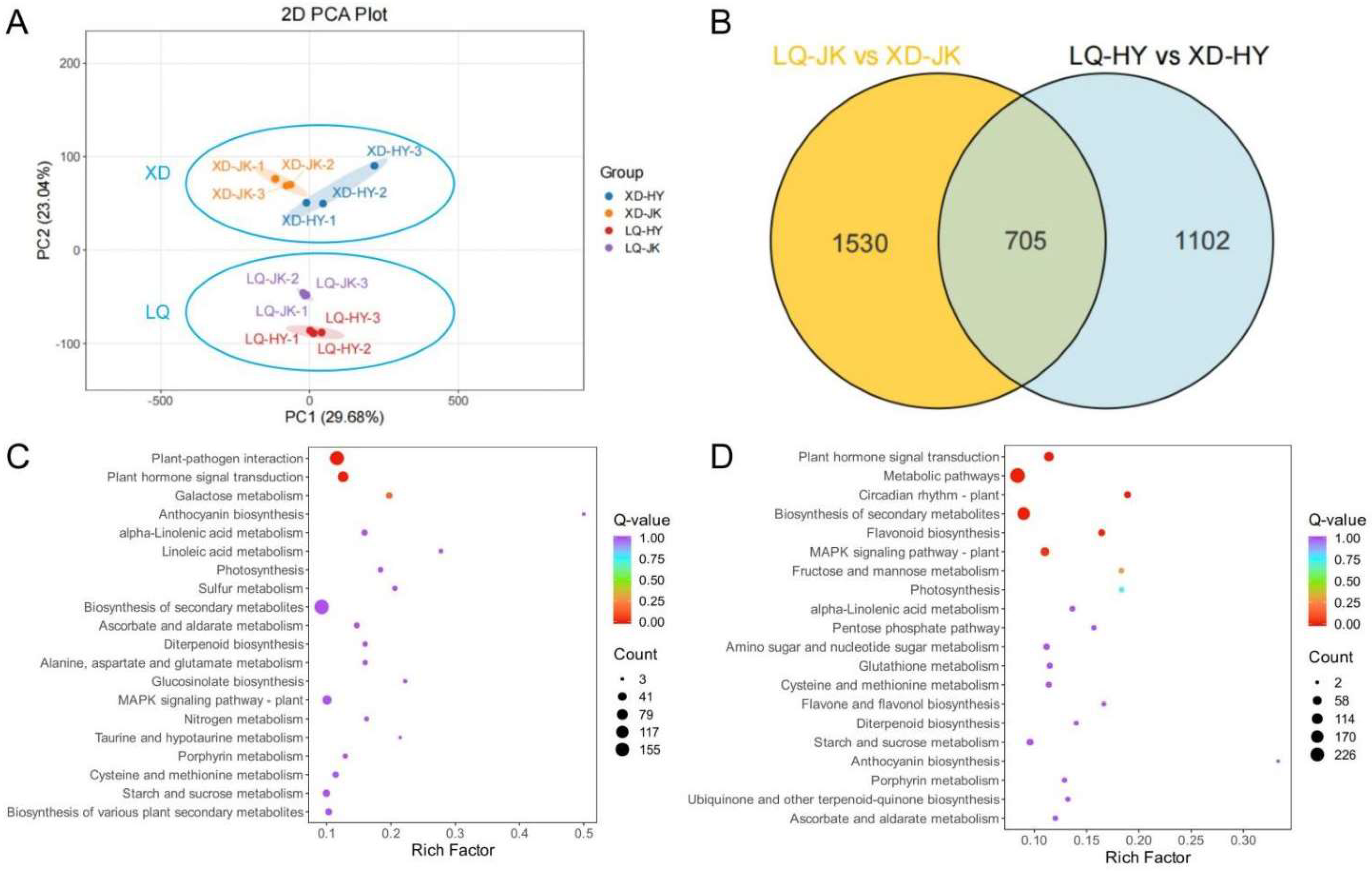 Plants 13 03171 g003