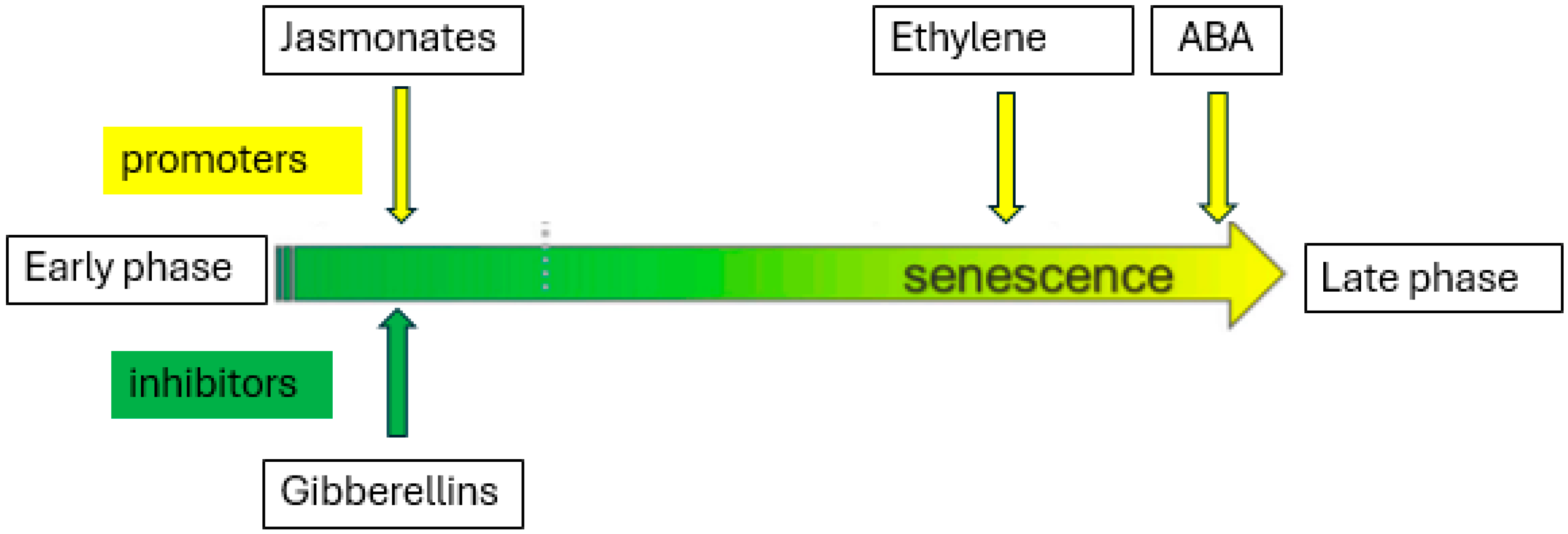Plants 13 03174 g003