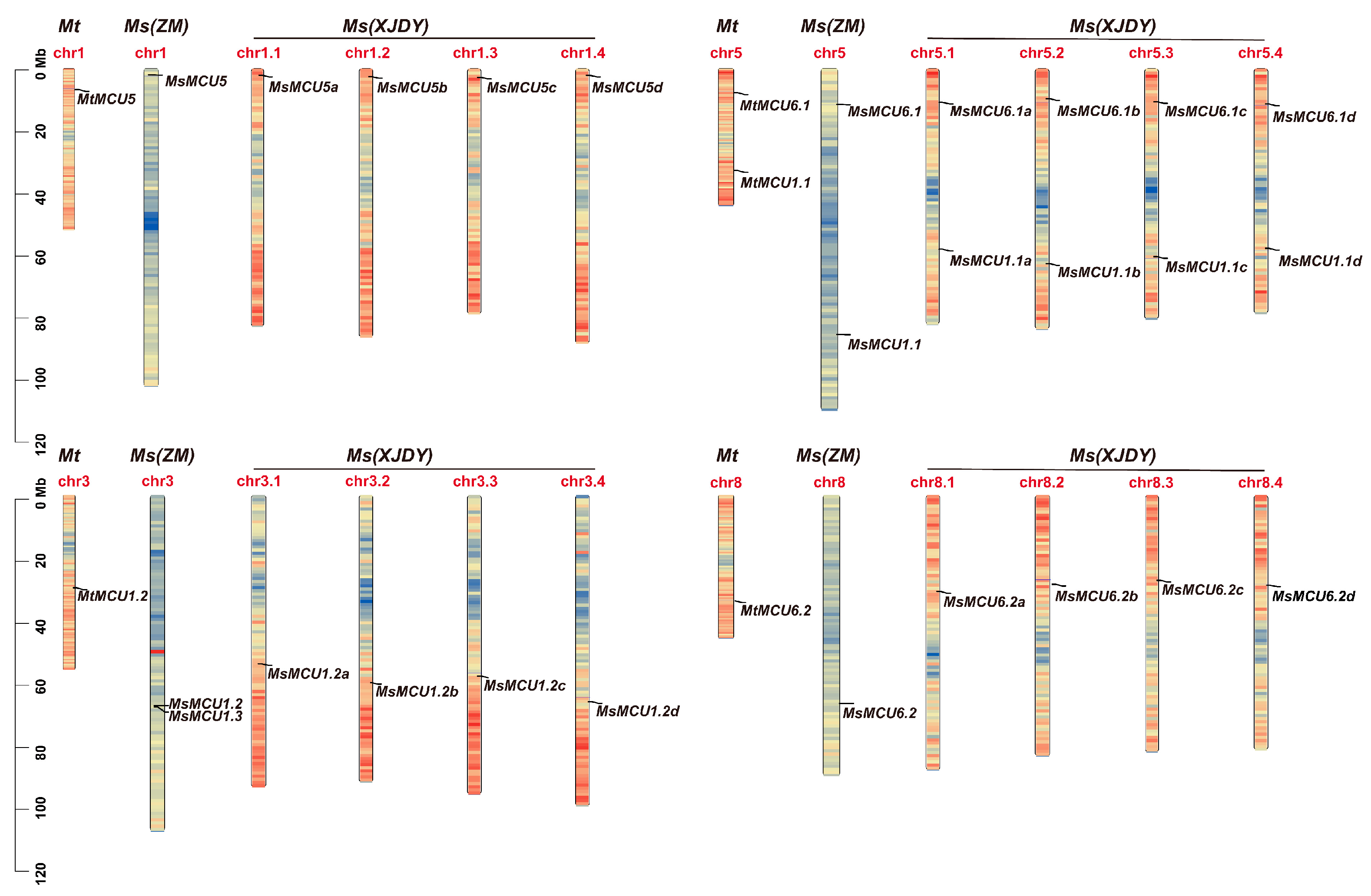 Plants 13 03176 g001