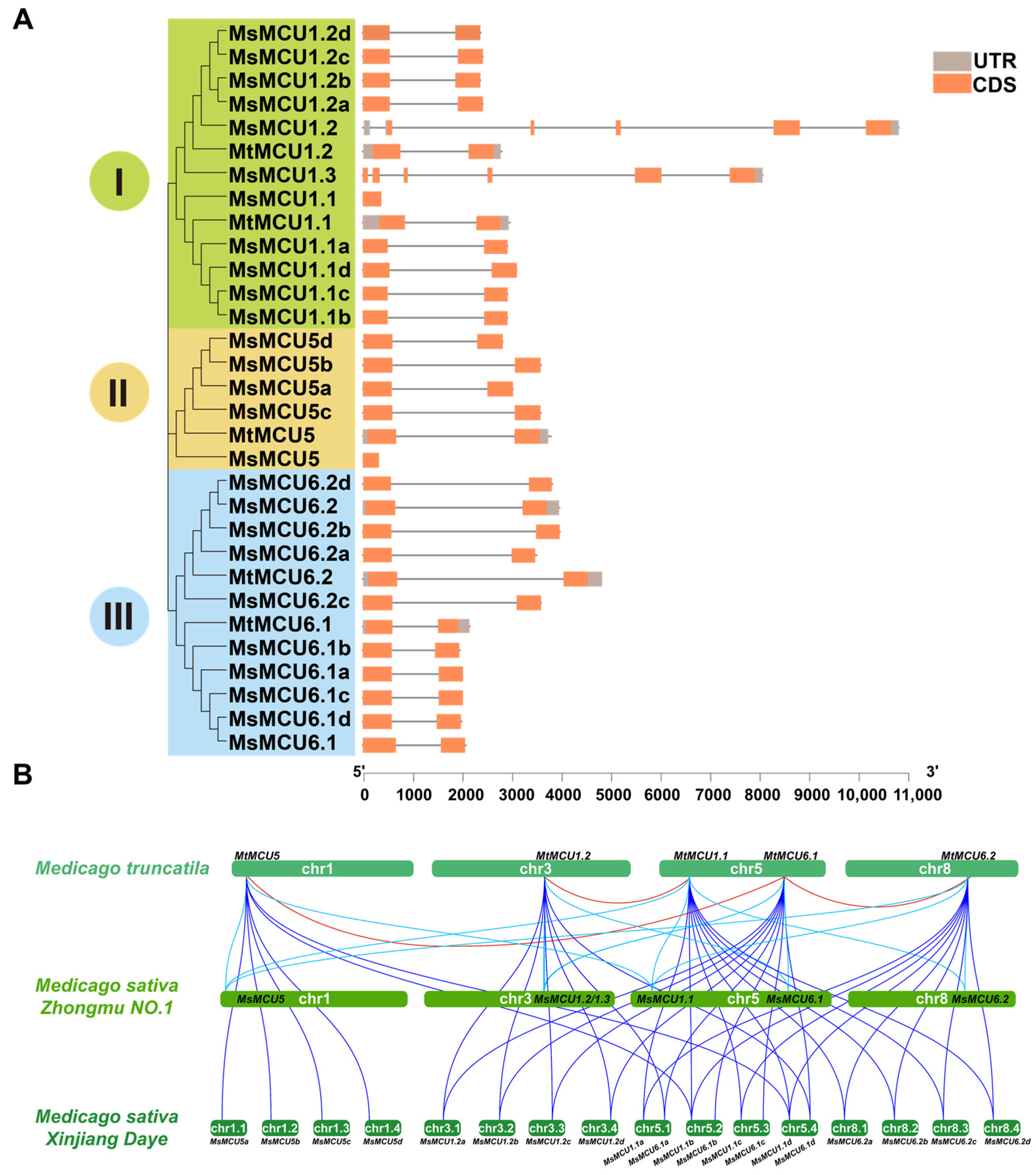 Plants 13 03176 g003