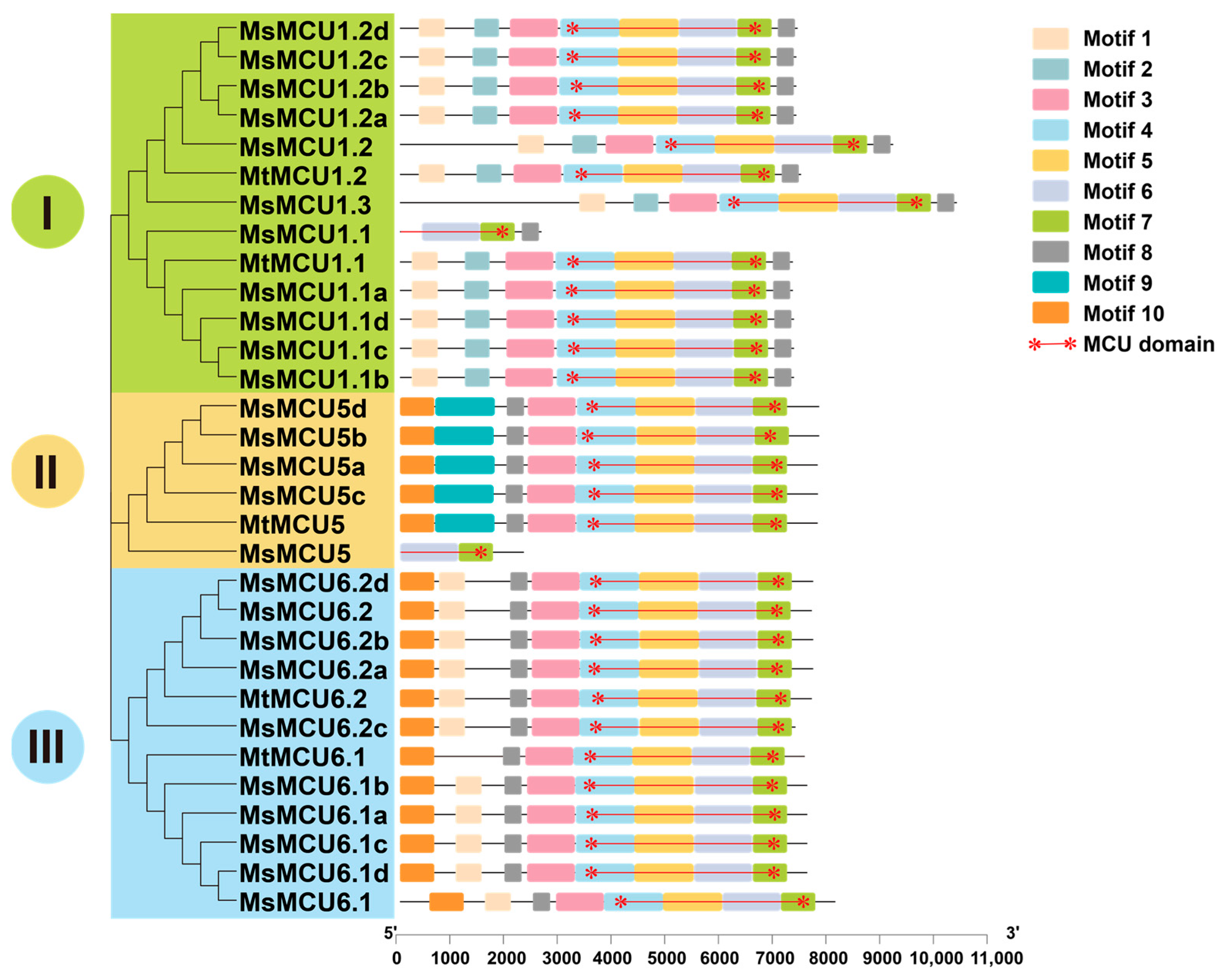 Plants 13 03176 g004