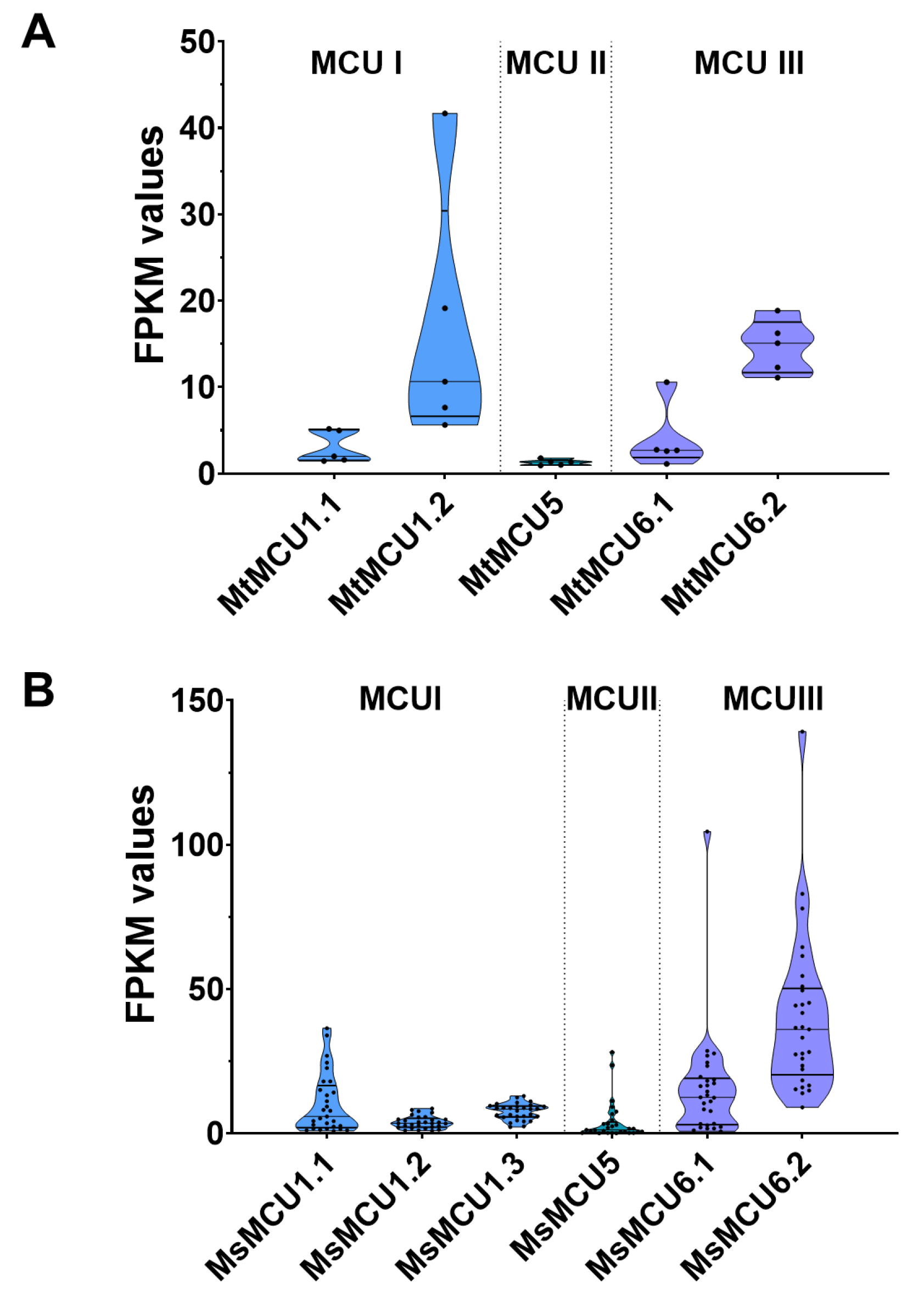 Plants 13 03176 g005
