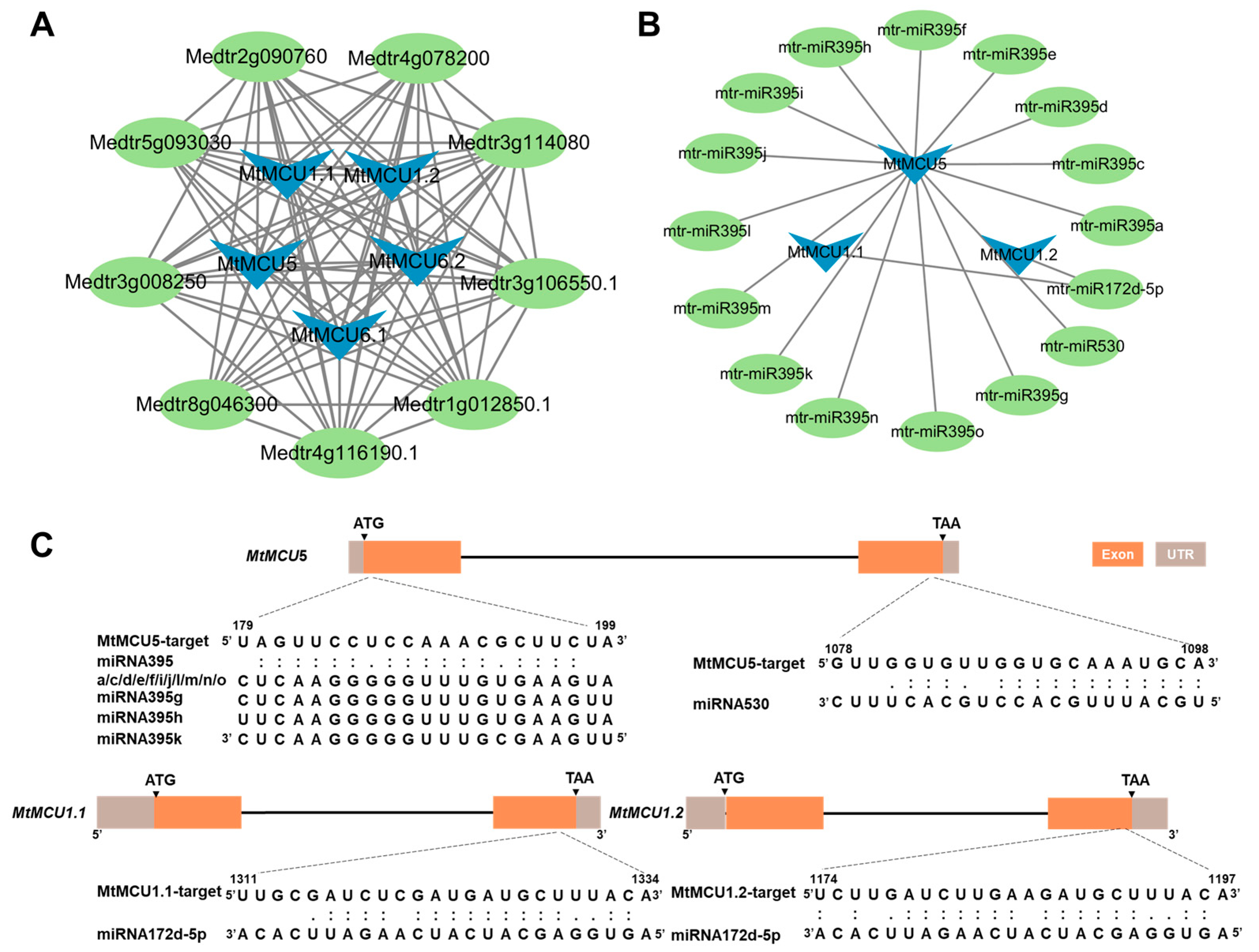 Plants 13 03176 g008