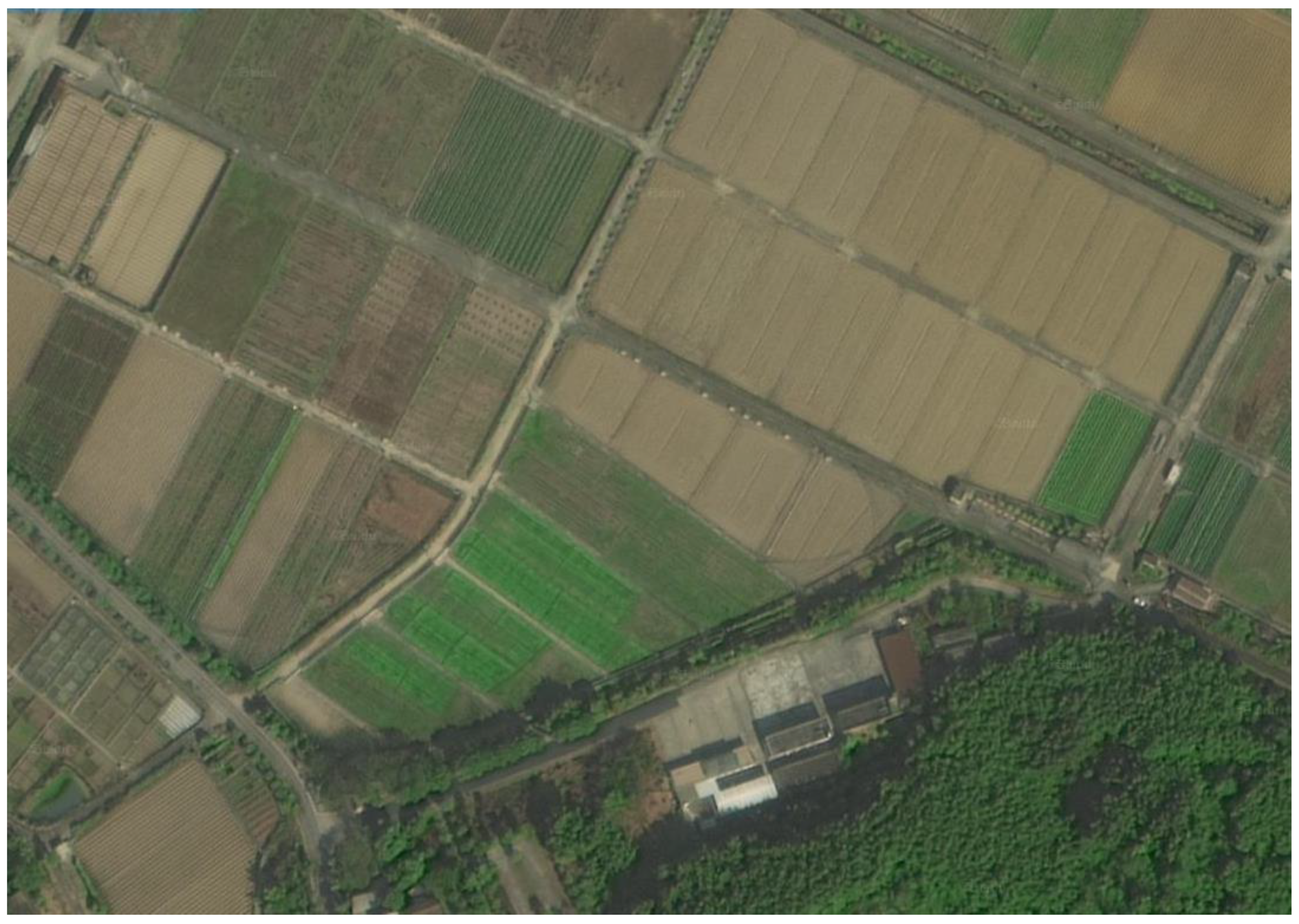 Plants 13 03179 g008