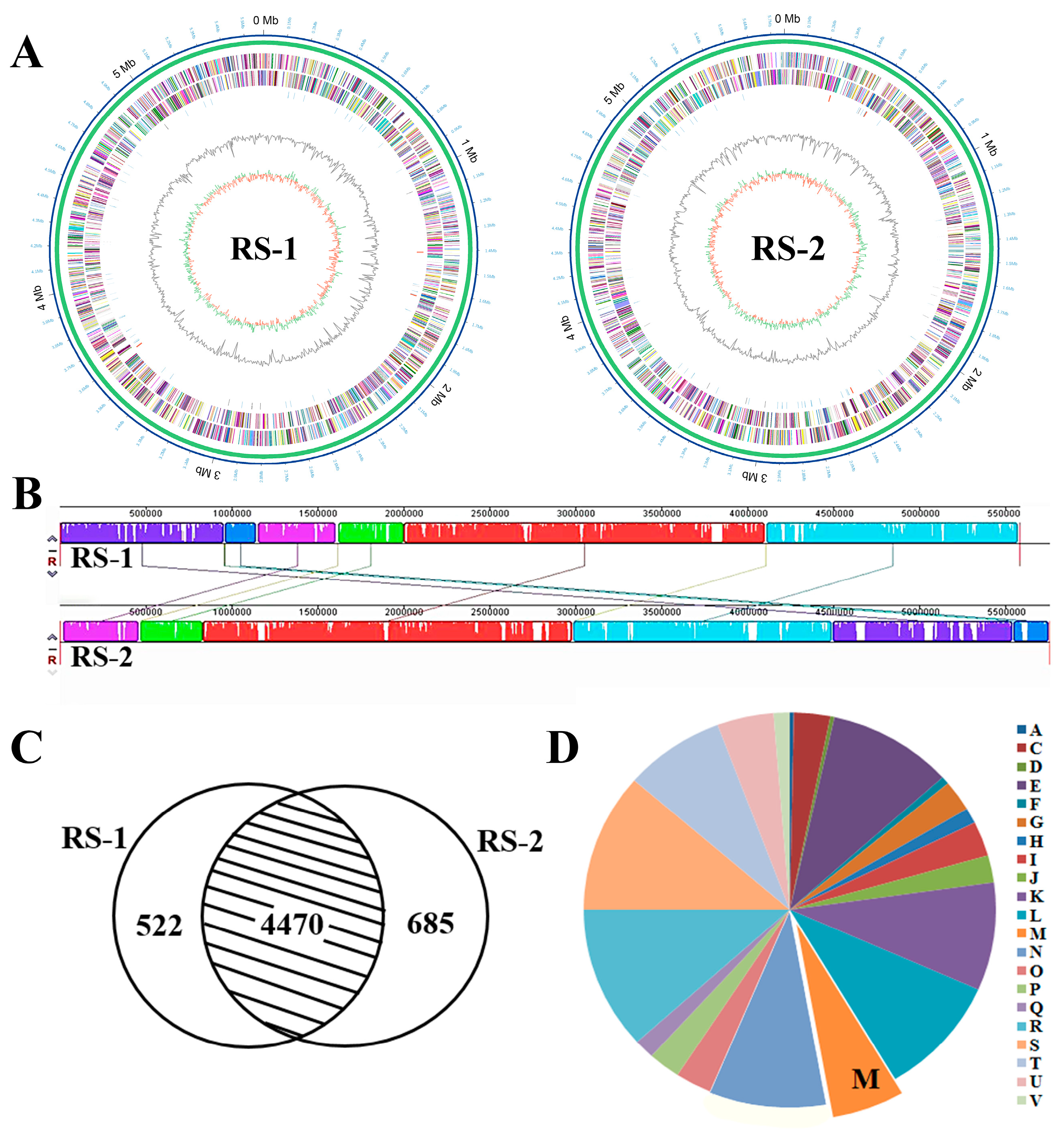 Plants 13 03182 g005