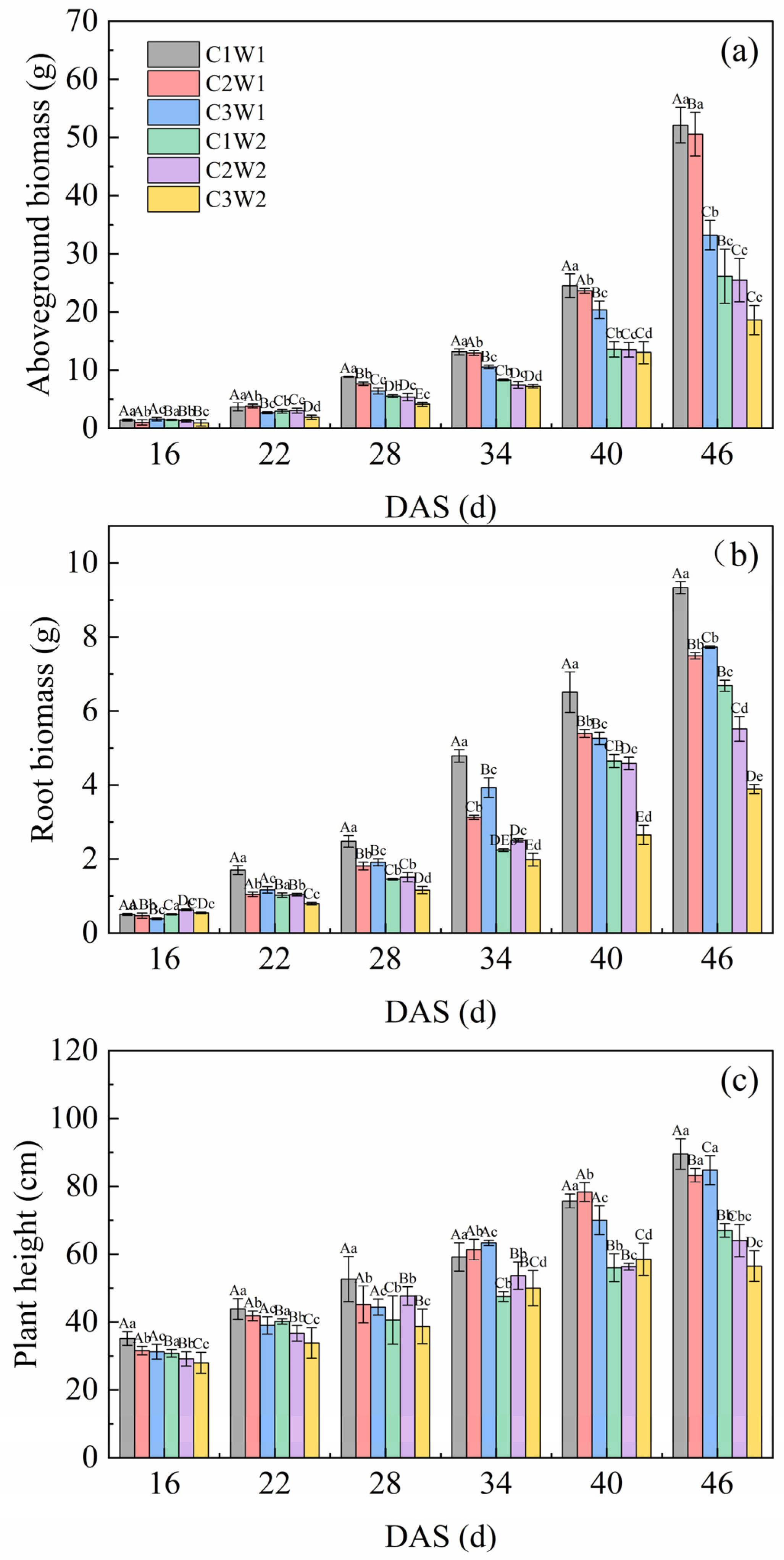 Plants 13 03185 g003