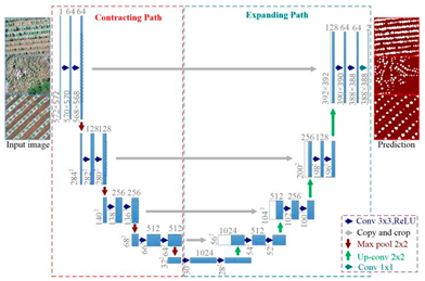 Plants 13 03186 i003