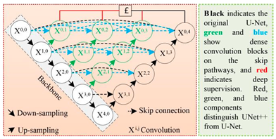 Plants 13 03186 i004