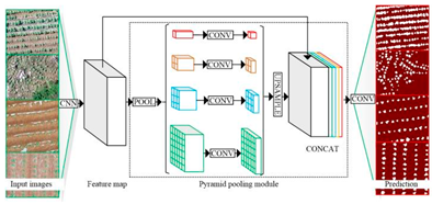 Plants 13 03186 i006